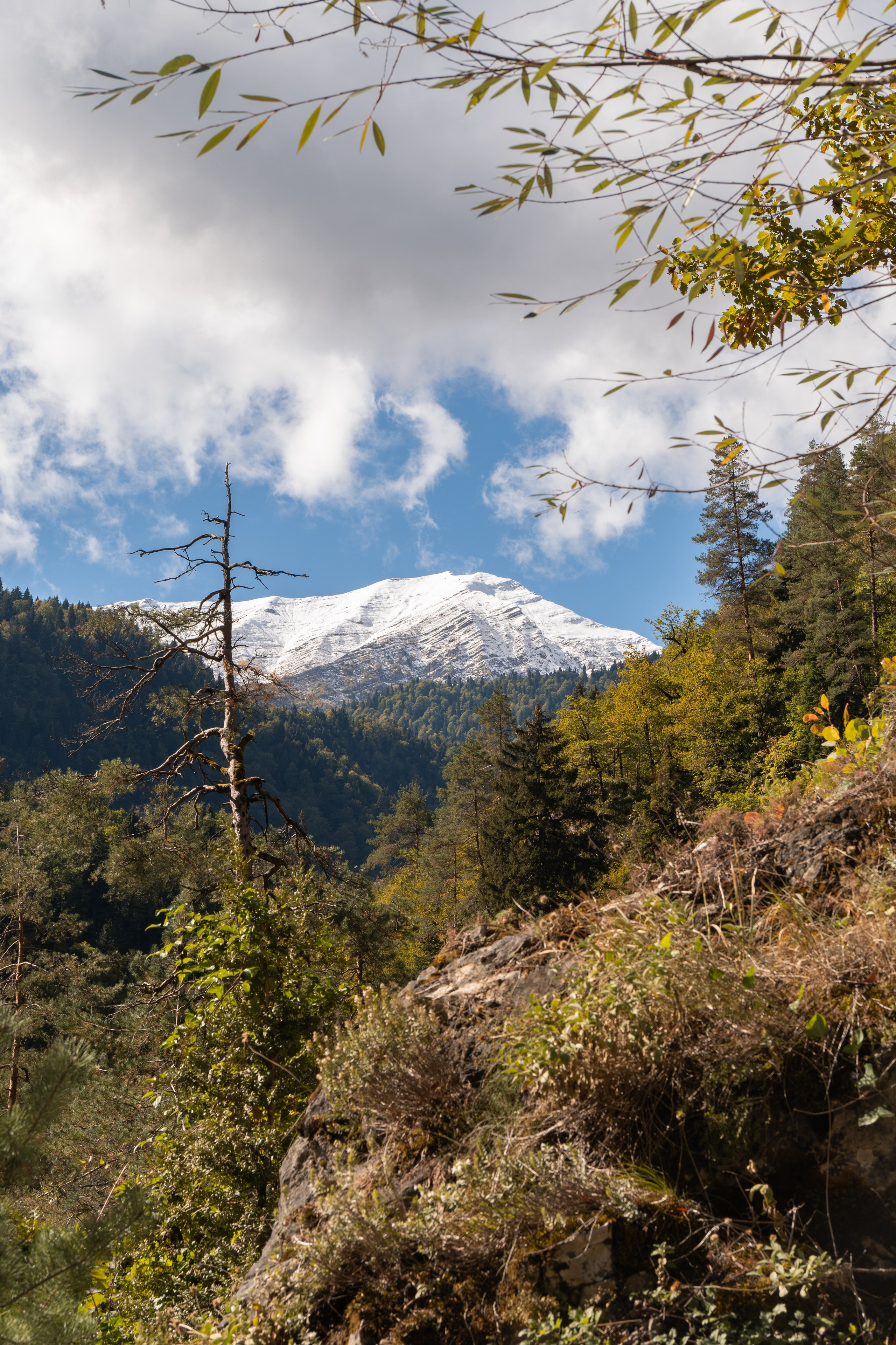 Абхазия. Gusarov Travel Photography