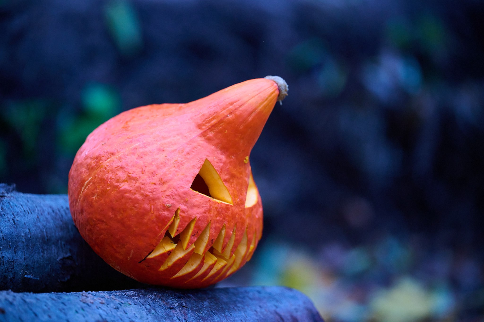 SUP_Halloween. Портретный фотограф в Санкт-Петербурге Владимир Никитин