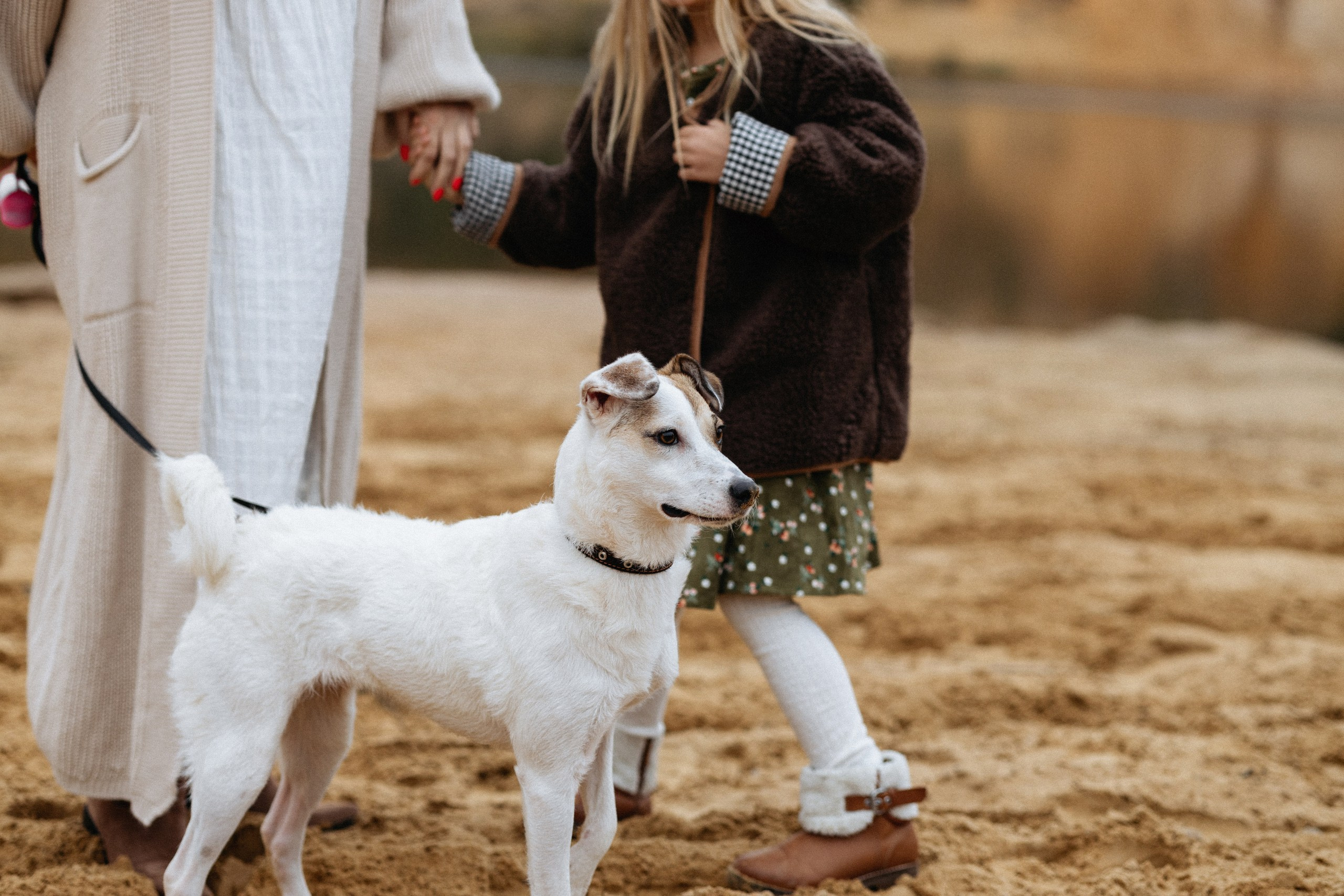 Семейная фотосессия на природе. Вера Пьянцева семейный, свадебный и парный фотограф в Санкт-Петербурге