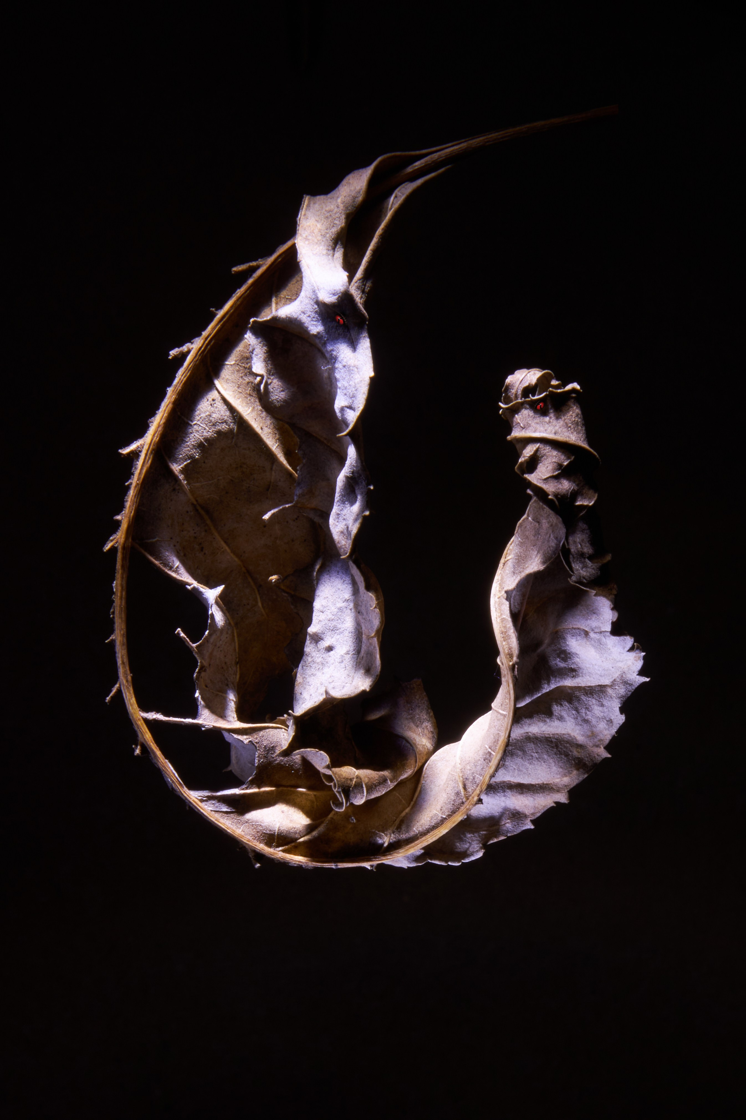 Милые Монстры или Тёмная Сторона. Репортажный Фотограф во Владивостоке и России Осипчук Дмитрий