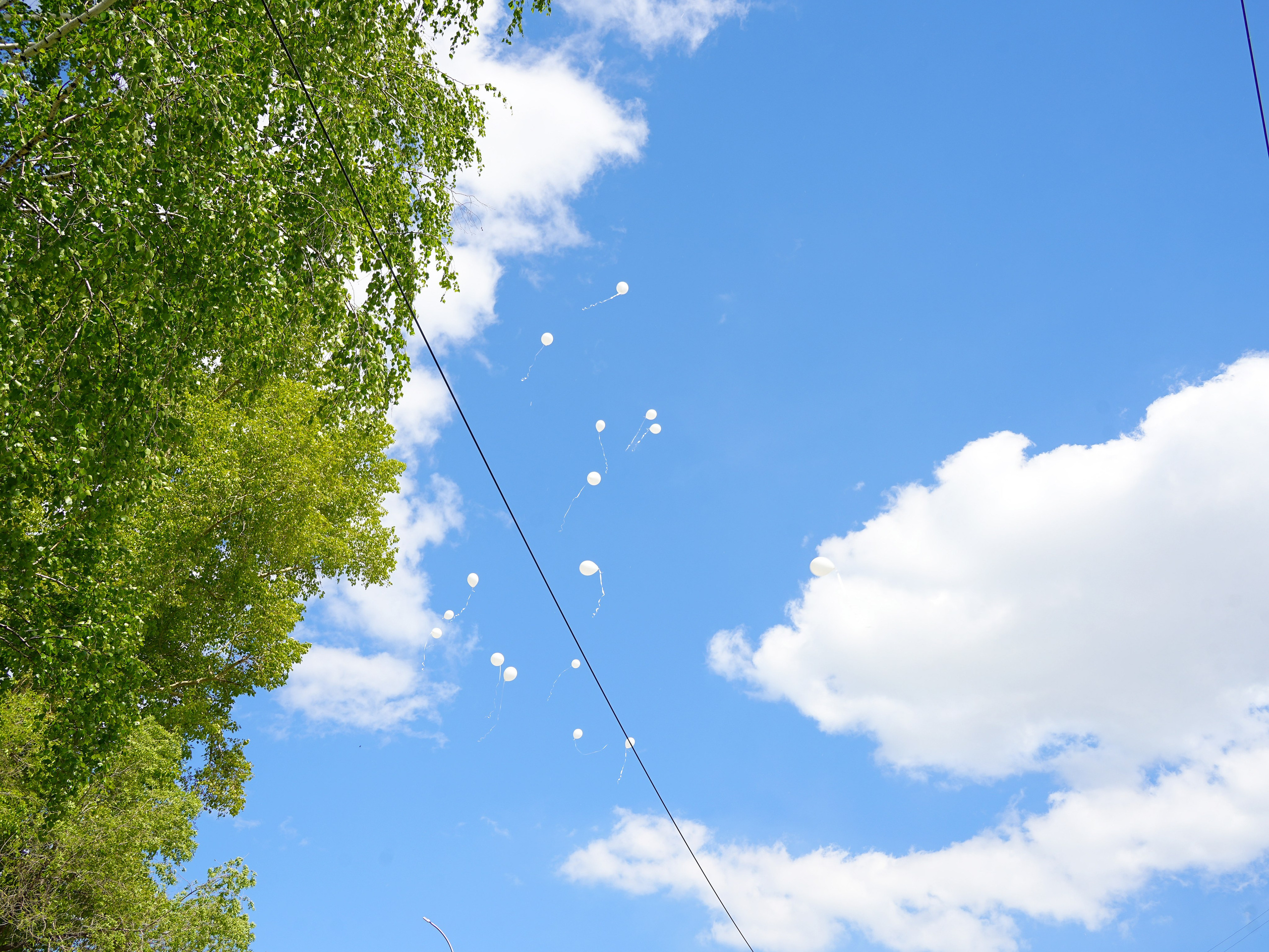 Фотосъемка видеосъёмка фотограф видеооператор новогодних утренников  в. Фотограф, видеооператор Нина Коршунова
