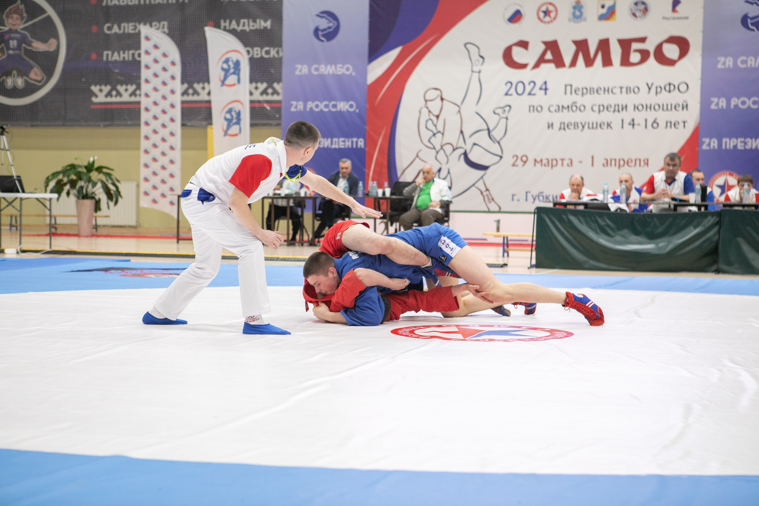 Самбо. Фотограф Губкинского