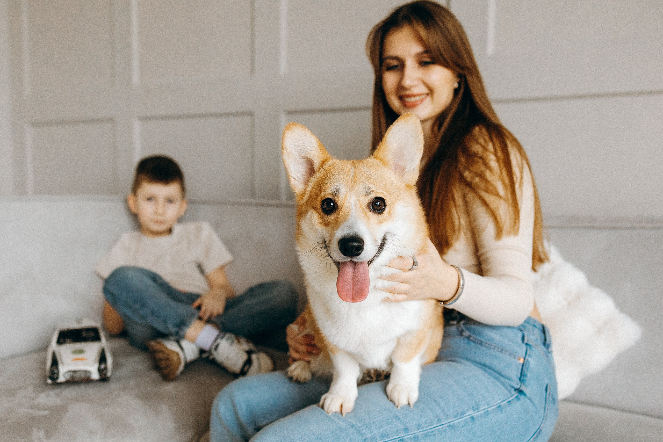 Семья с корги. Фотограф. Фотограф-анималист. Москва