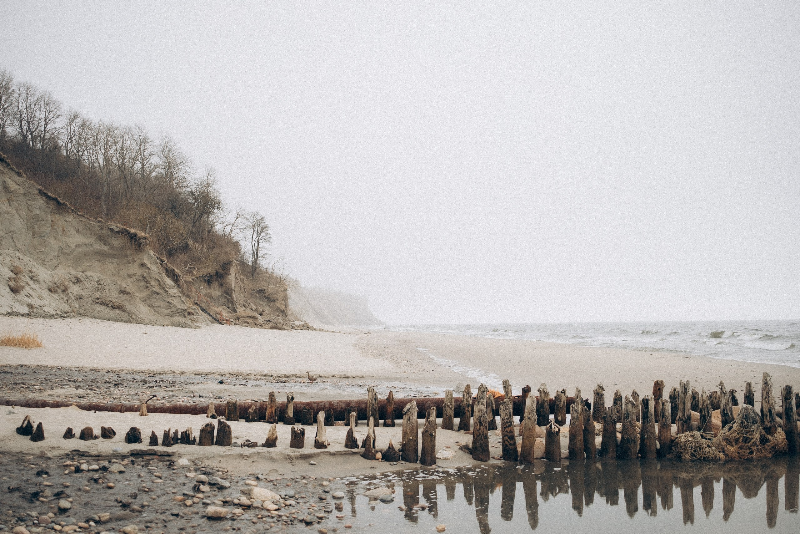 Семейный фотограф Анна Петрова