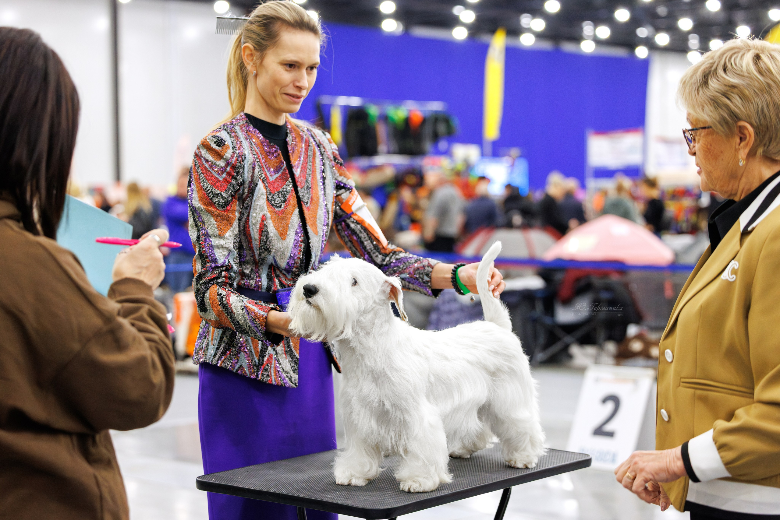 Питер 12-13.12.2025. Фотограф-анималист Юлия Германика