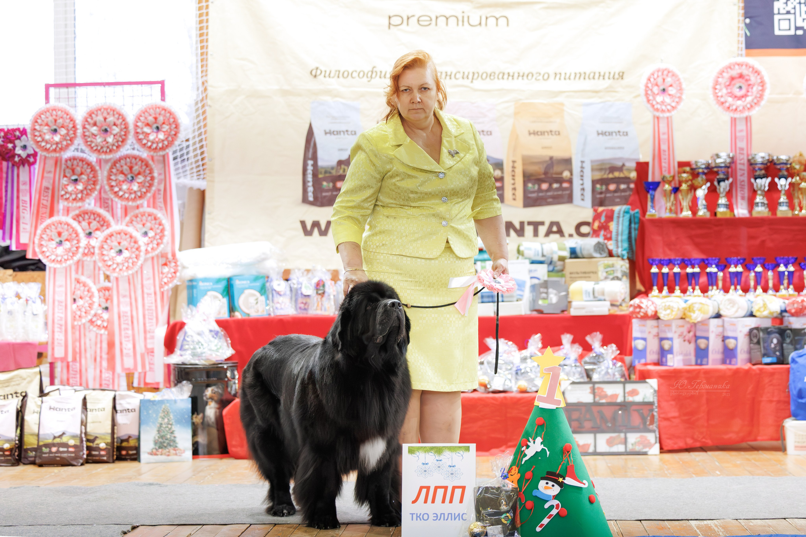 Тверь 21.12.2025. Фотограф-анималист Юлия Германика