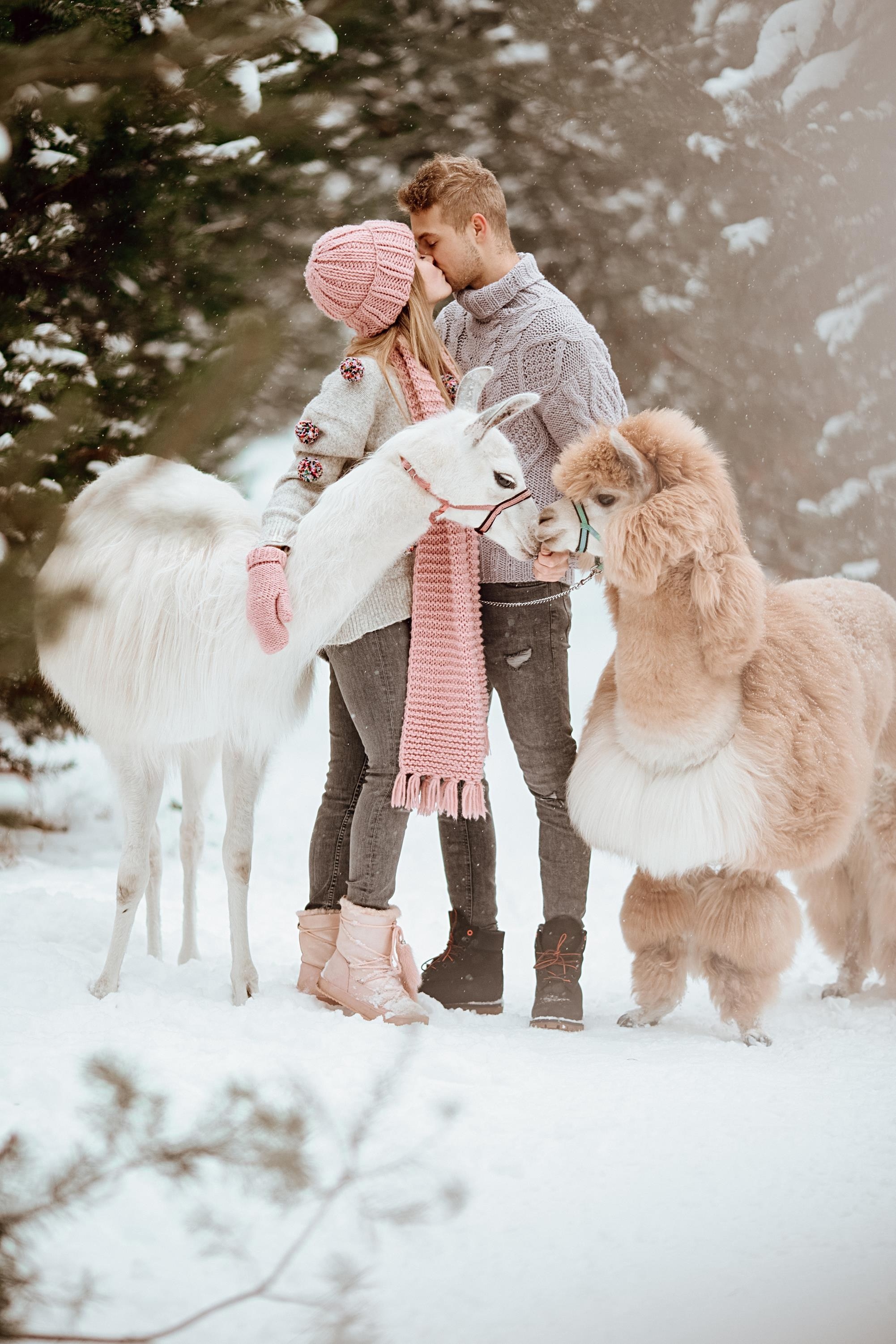 Winter wonderland. Алина Малышева, свадебный и семейный фотограф Москва