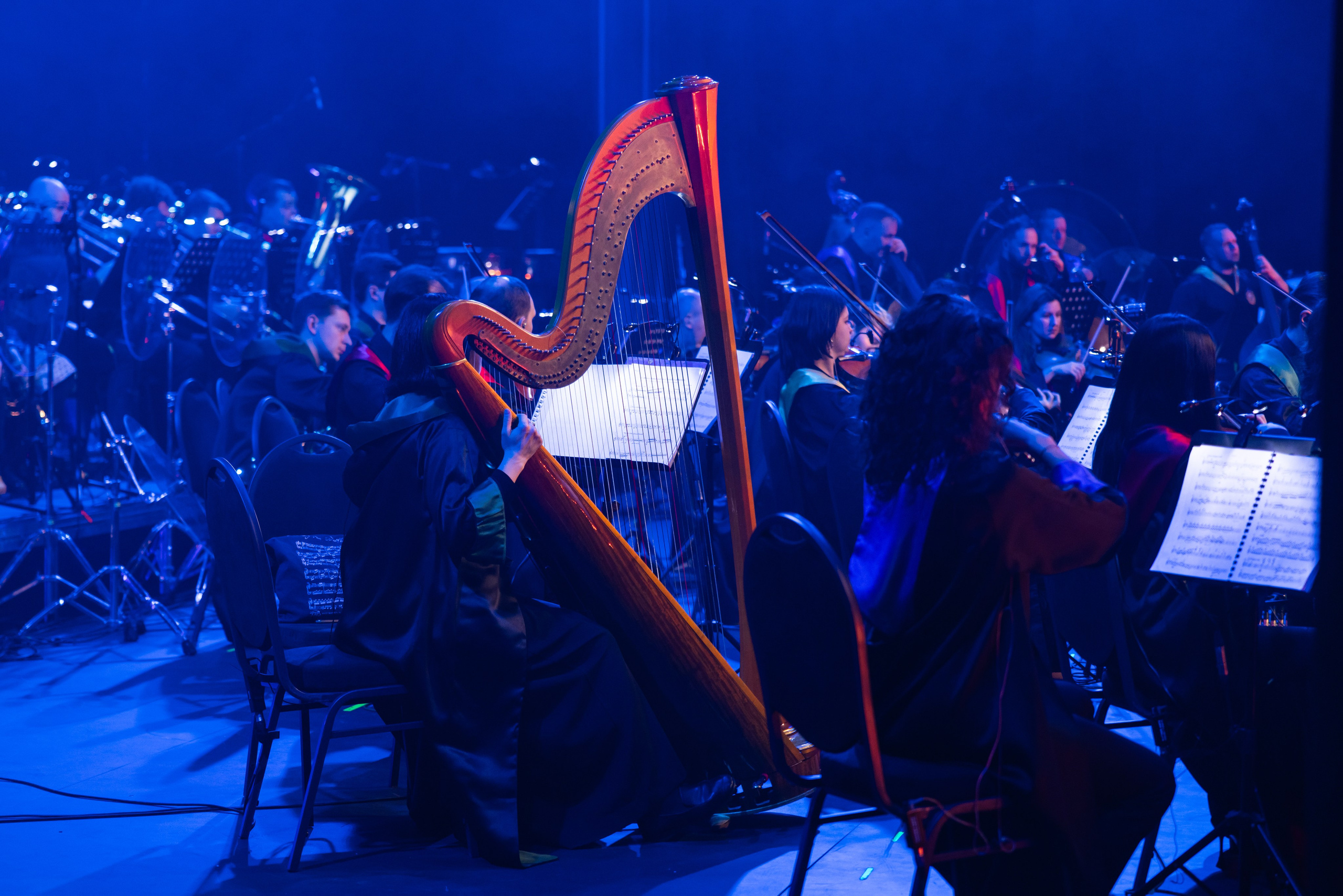 Новый год в Хогвартсе. Свадебный и семейный фотограф в Москве и Московской области Оксана Шлыкова