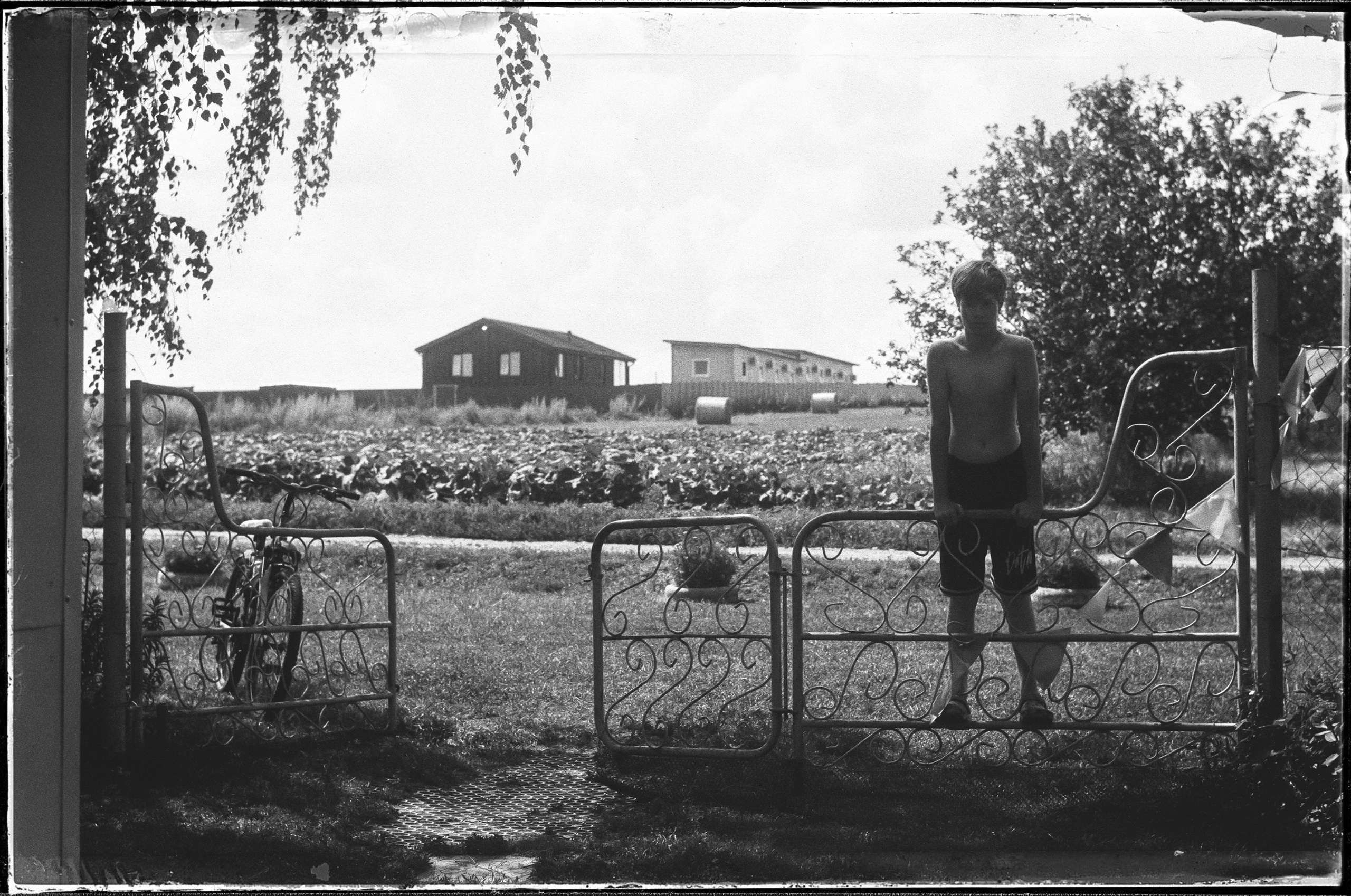 Пленка. Деревня. Лето. Семейный фотограф в Москве Марина Аргунова