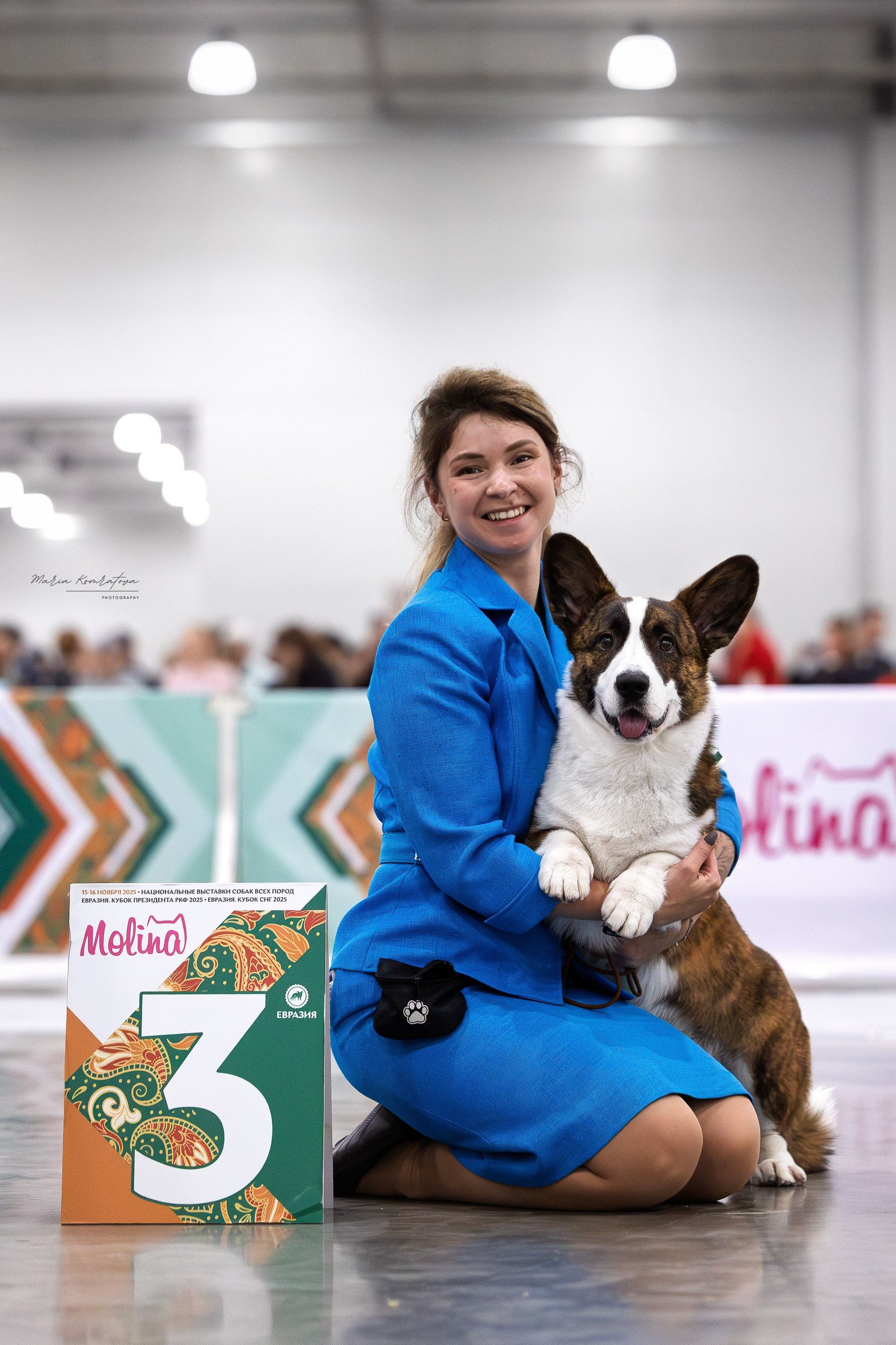 Вельш корги кардиган выставка фотограф 