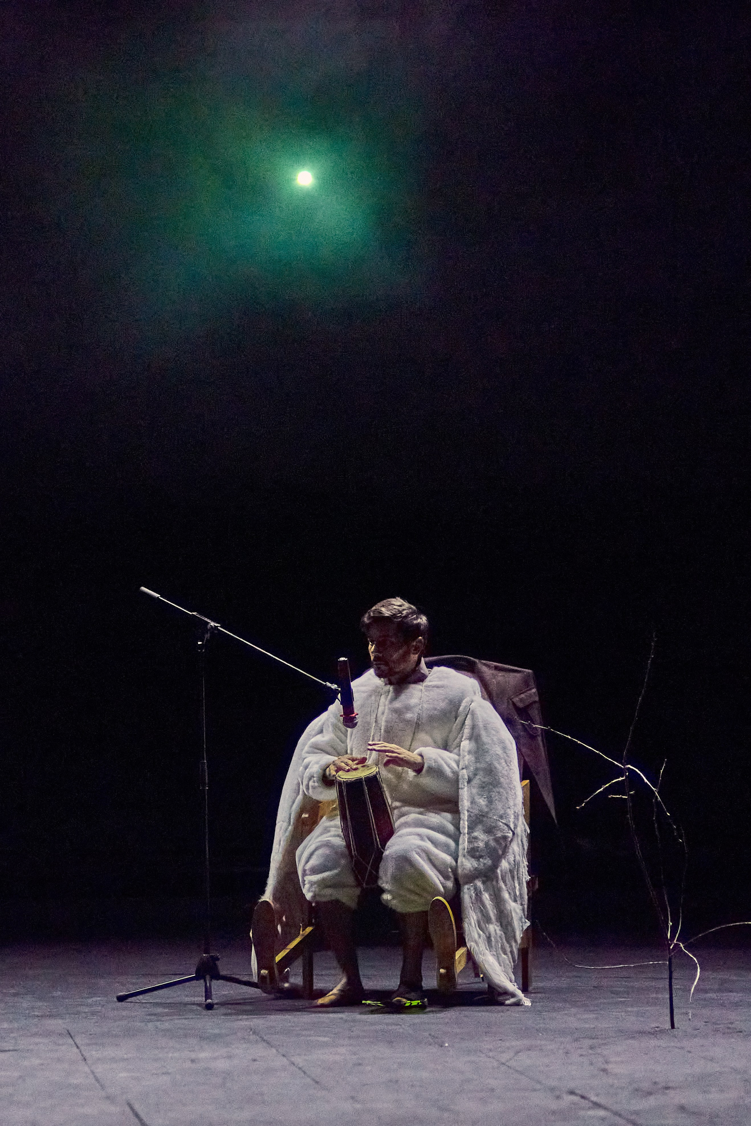 Чайка. Фотограф Юлия Маринина