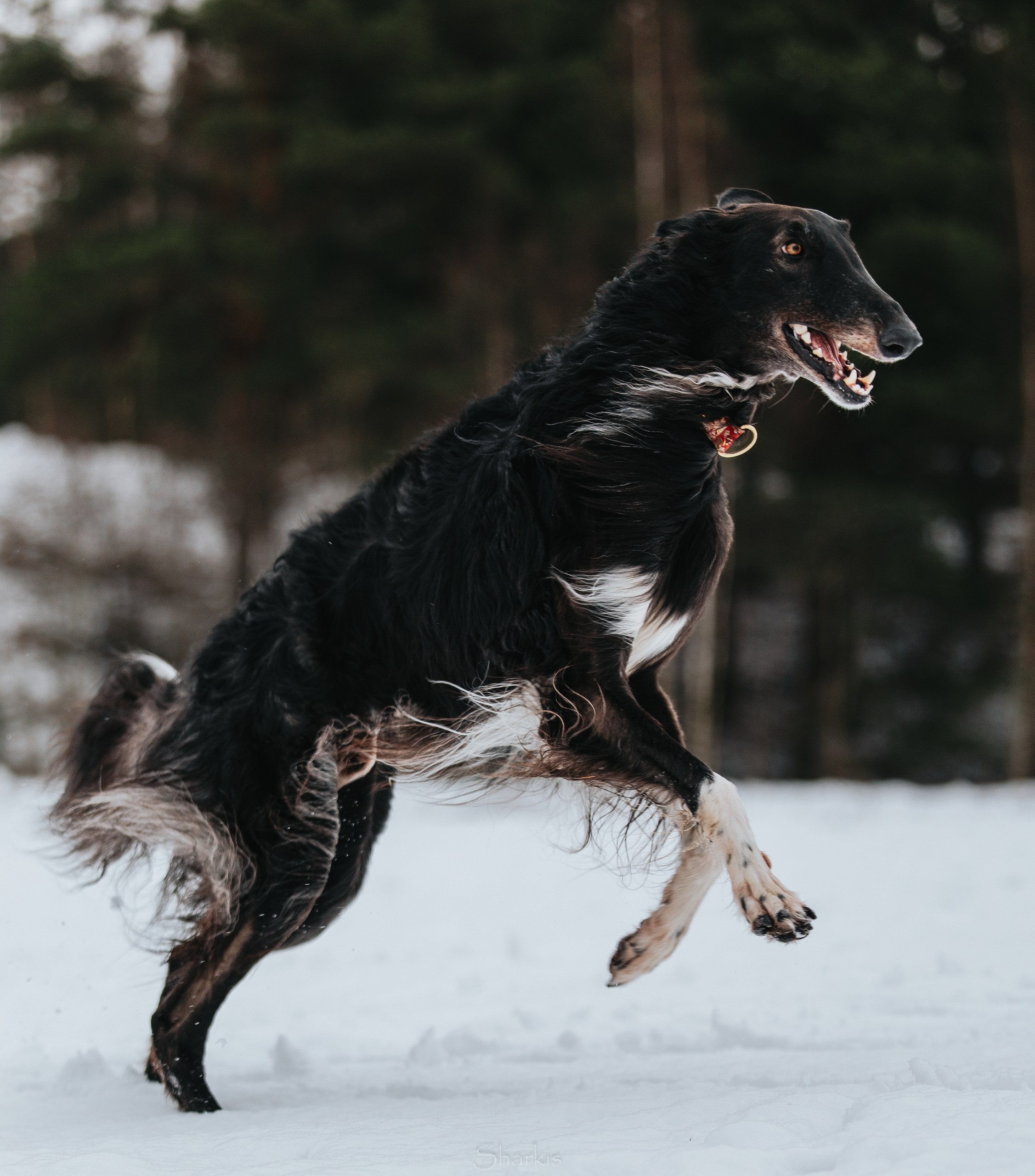 Катя и Гримм. Главная
