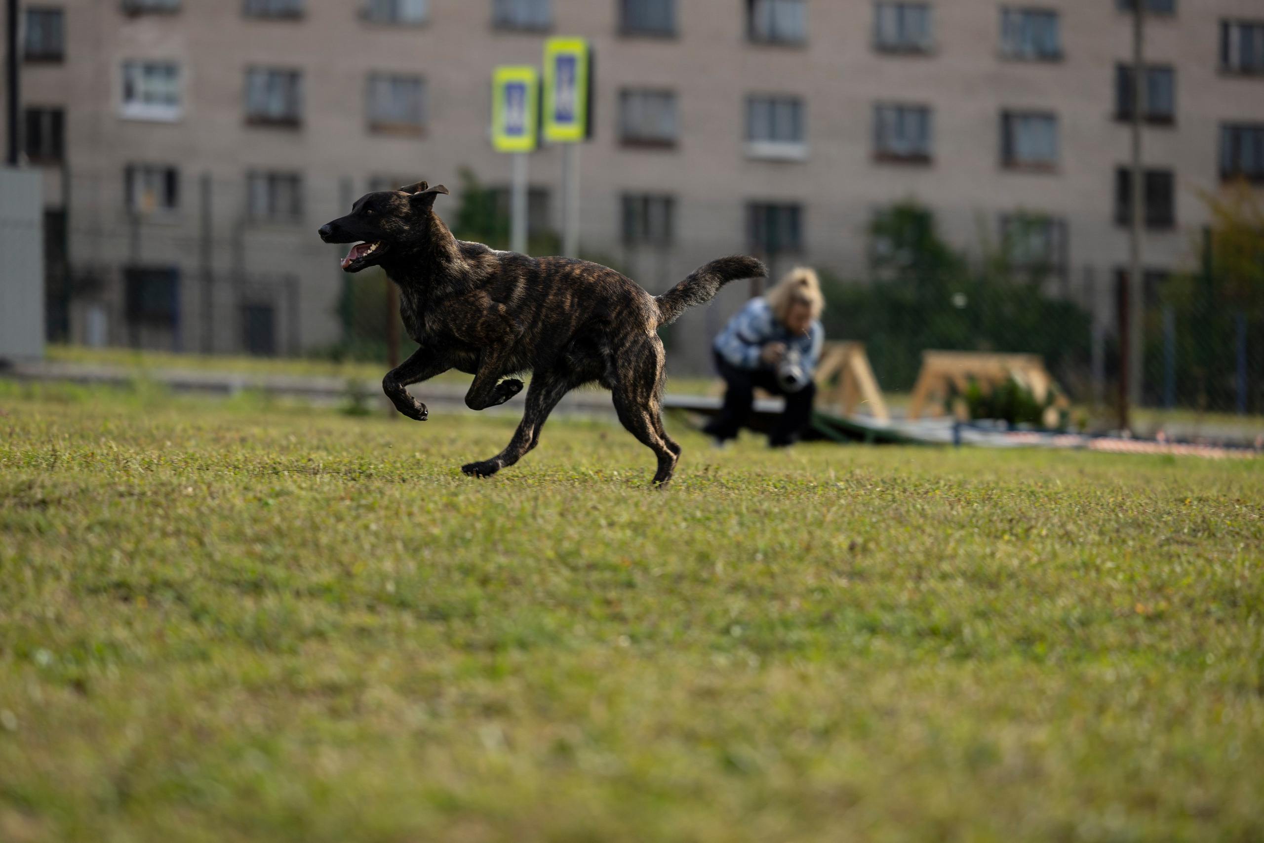 Испытания по Мондьорингу г. Пушкин. Фотограф-анималист Анна Маринич