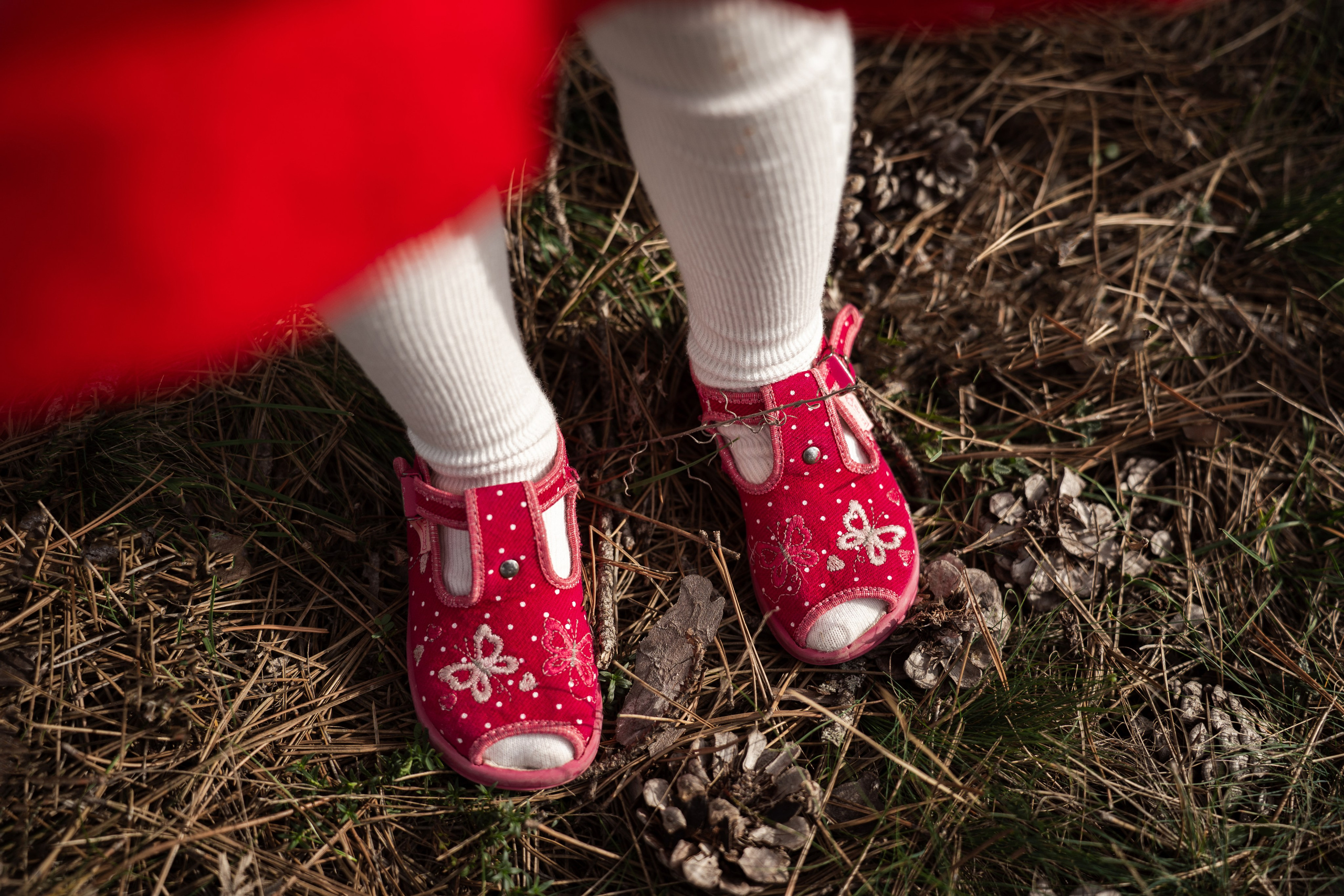 Ева «Красная Шапочка». Фотограф Севастополь — Климова Анастасия