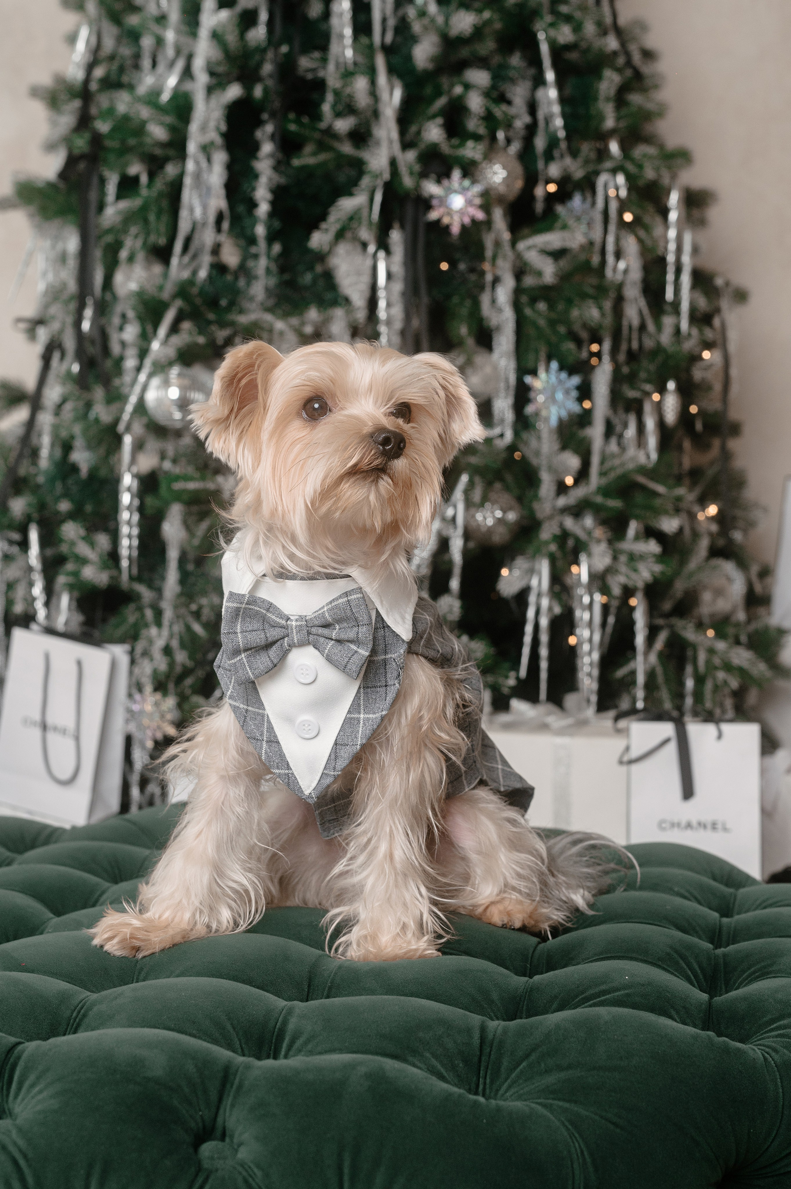 Свадебная фотосессия для Софьи и Владислава