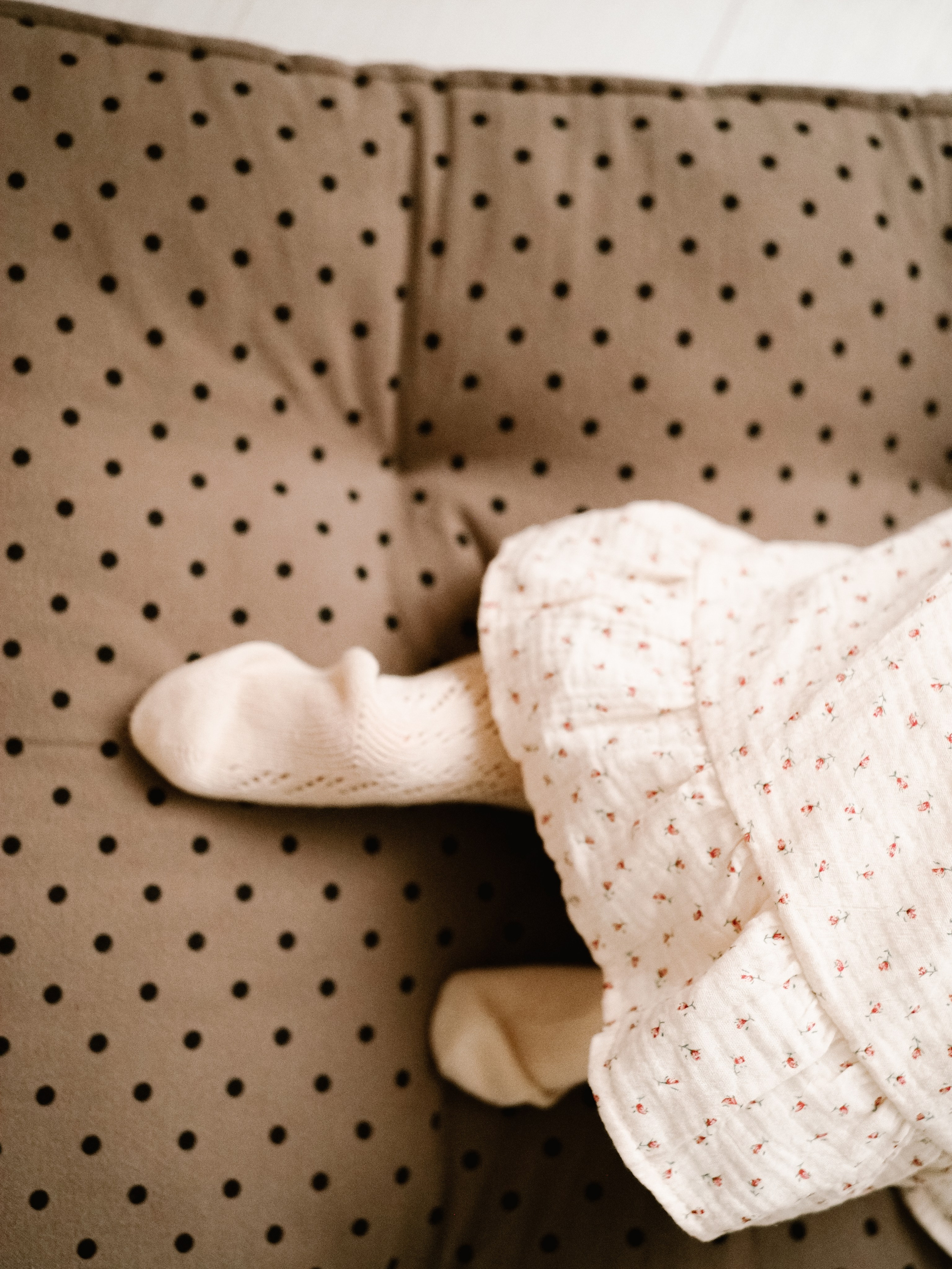 Вся семья и самый главный. Фотограф Рязань. Семейный Свадебный фотограф