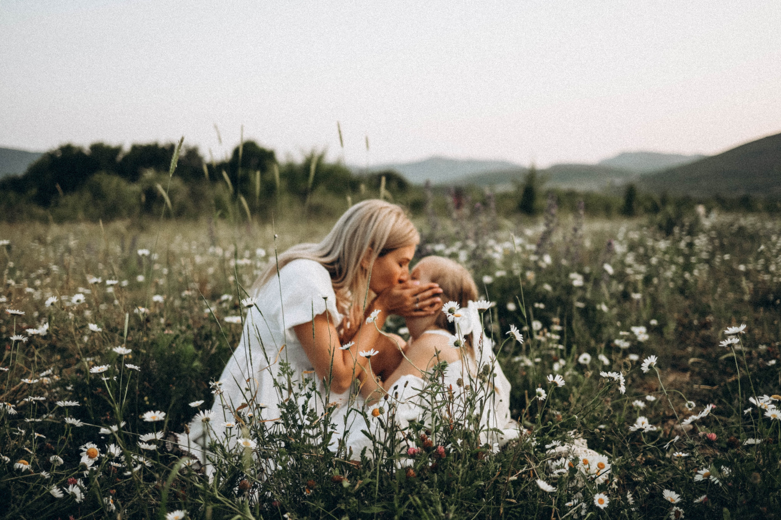 Ромашки. Фотограф Немазенко Ольга