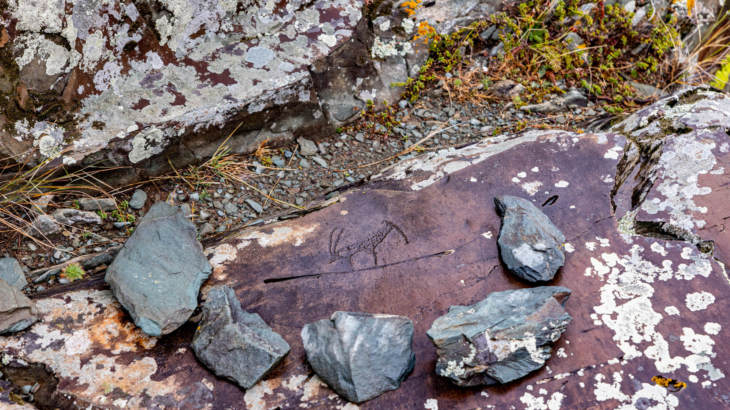 2025 09 Алтай. Чуйский тракт. Фотографии