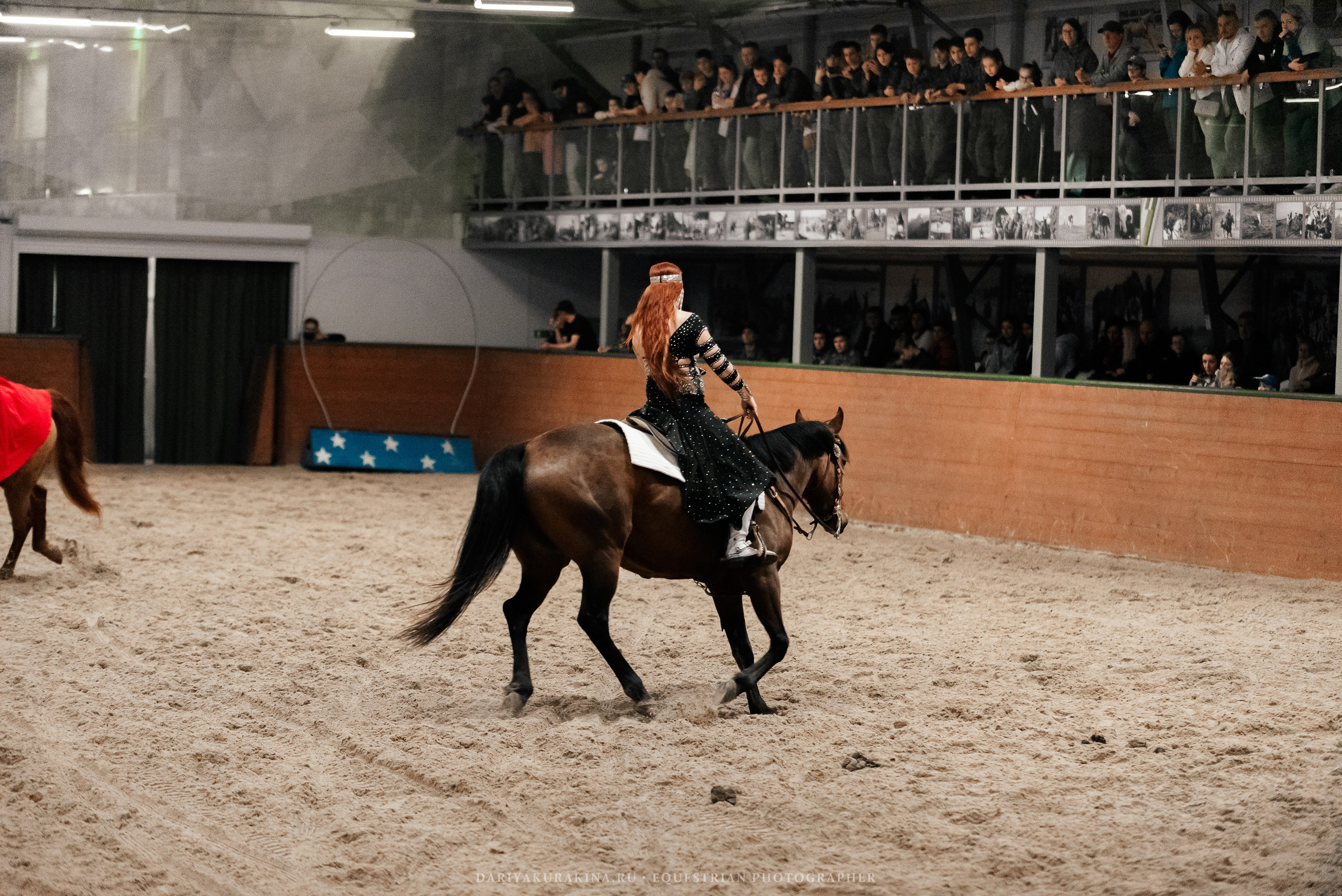 Конное представление «Дыхание Звёзд». Конный фотограф Куракина Дарья • Фотосессии с лошадьми