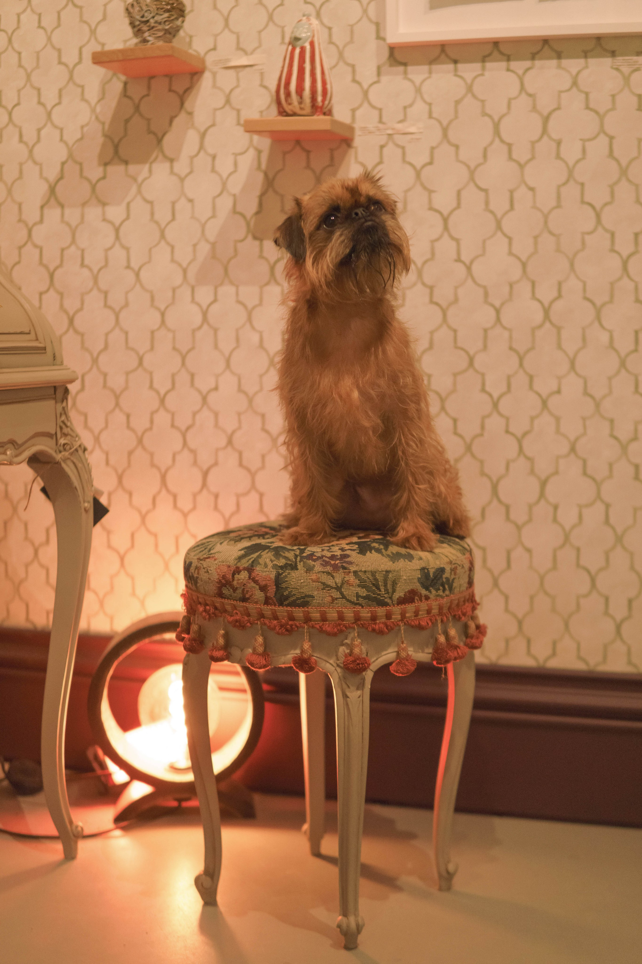 Наташа и Хавьер. Фотограф-анималист Ксения Воробьева, Москва