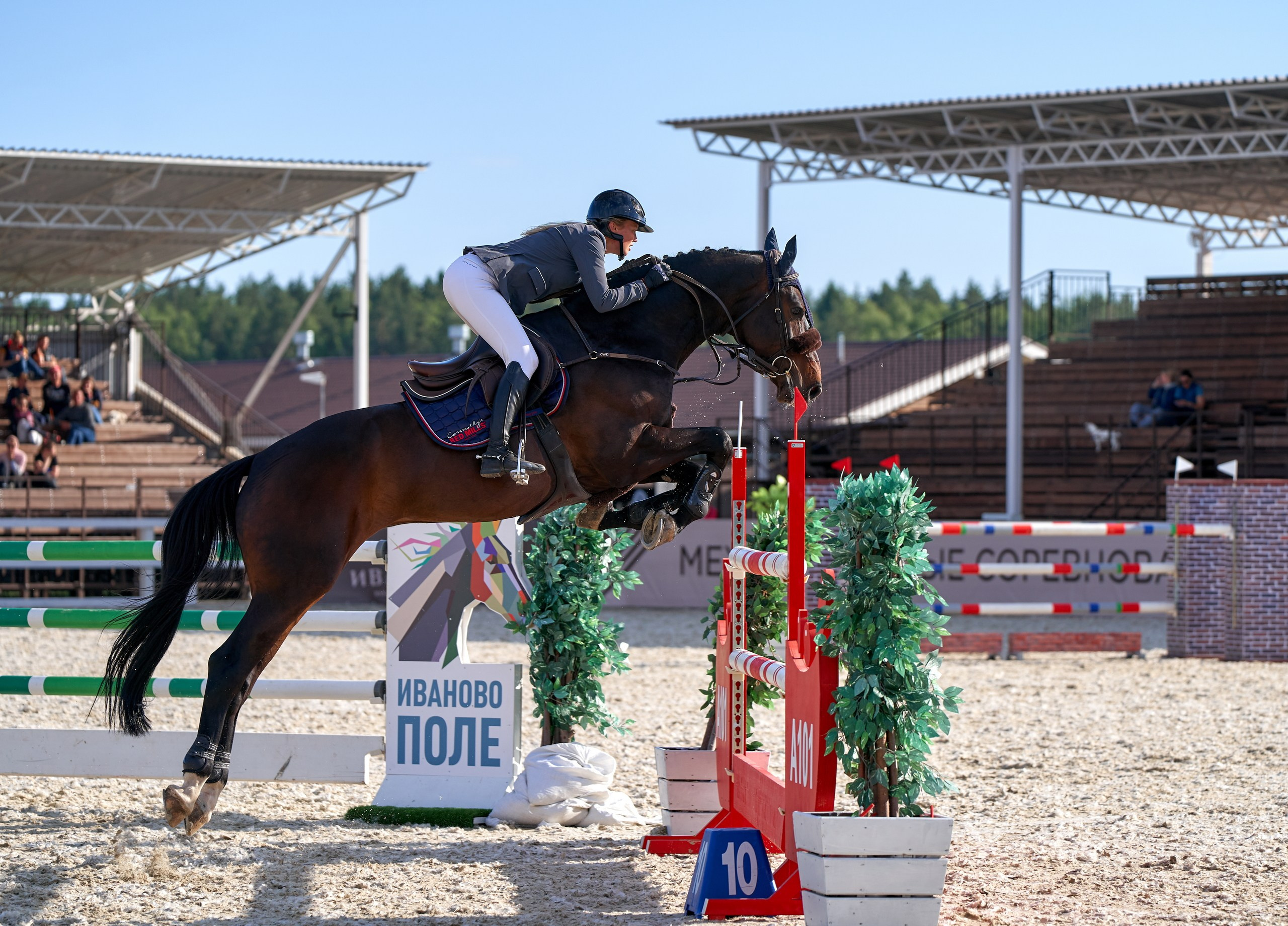 Соревнования на лошадях — галерея NATRIEL