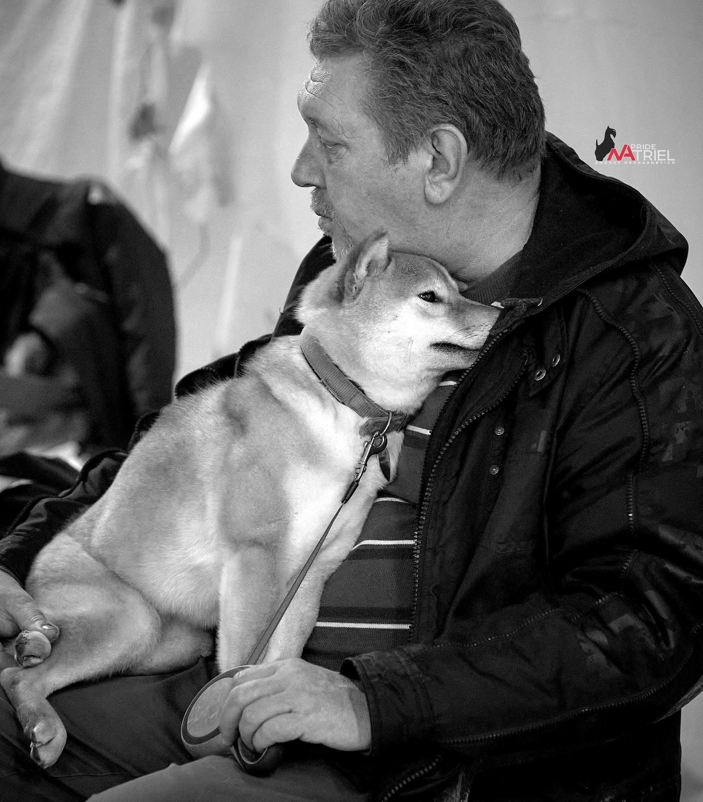 Собаки и Люди — галерея NATRIEL