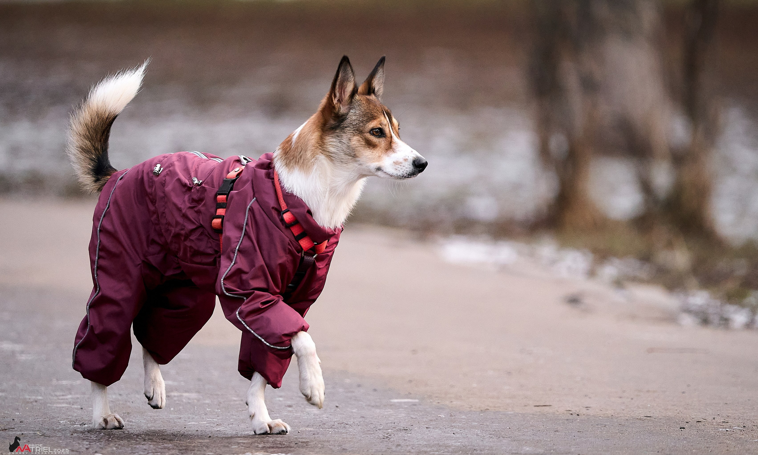 Фотопрогулка "вокруг дома"