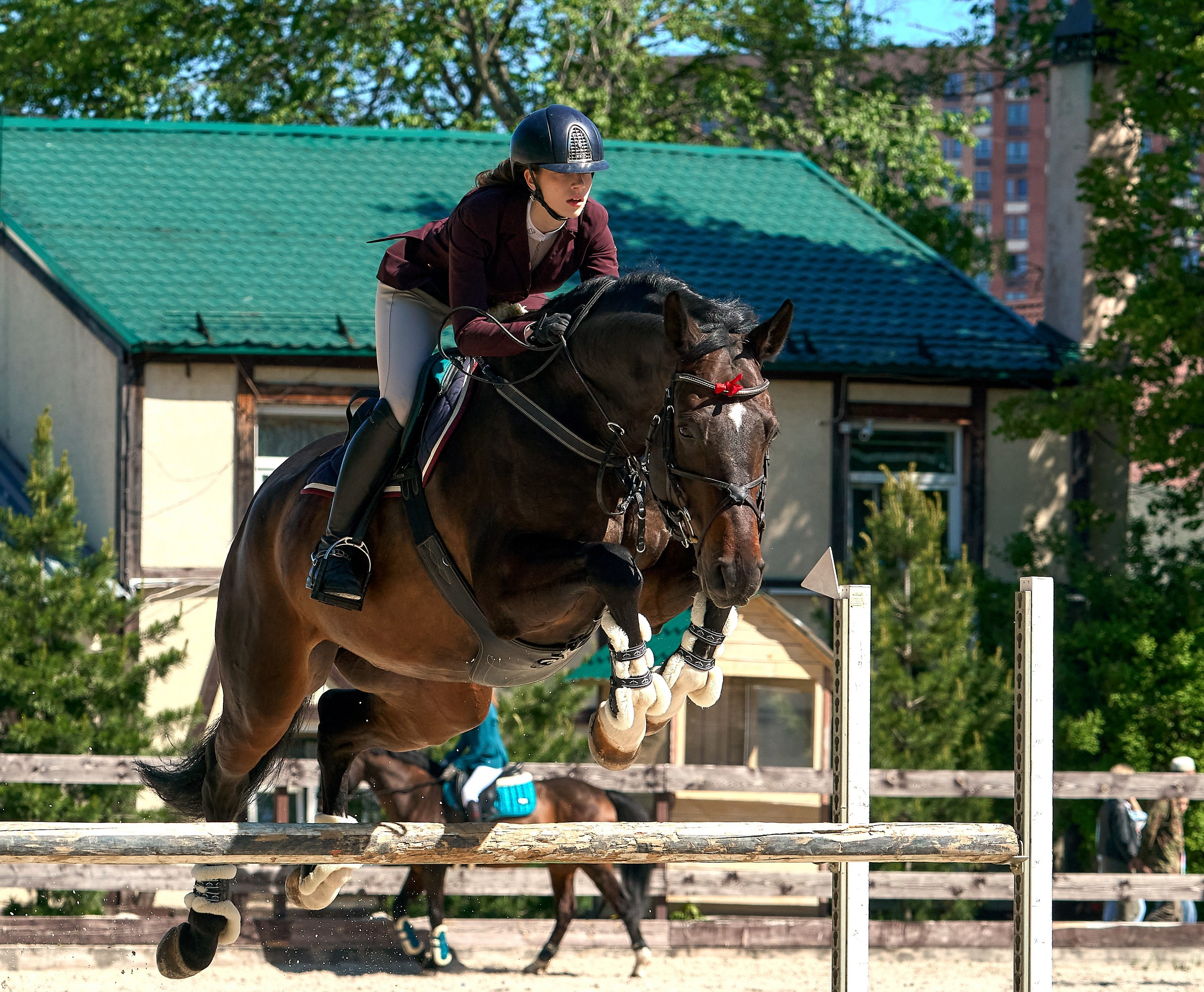Соревнования на лошадях — галерея NATRIEL