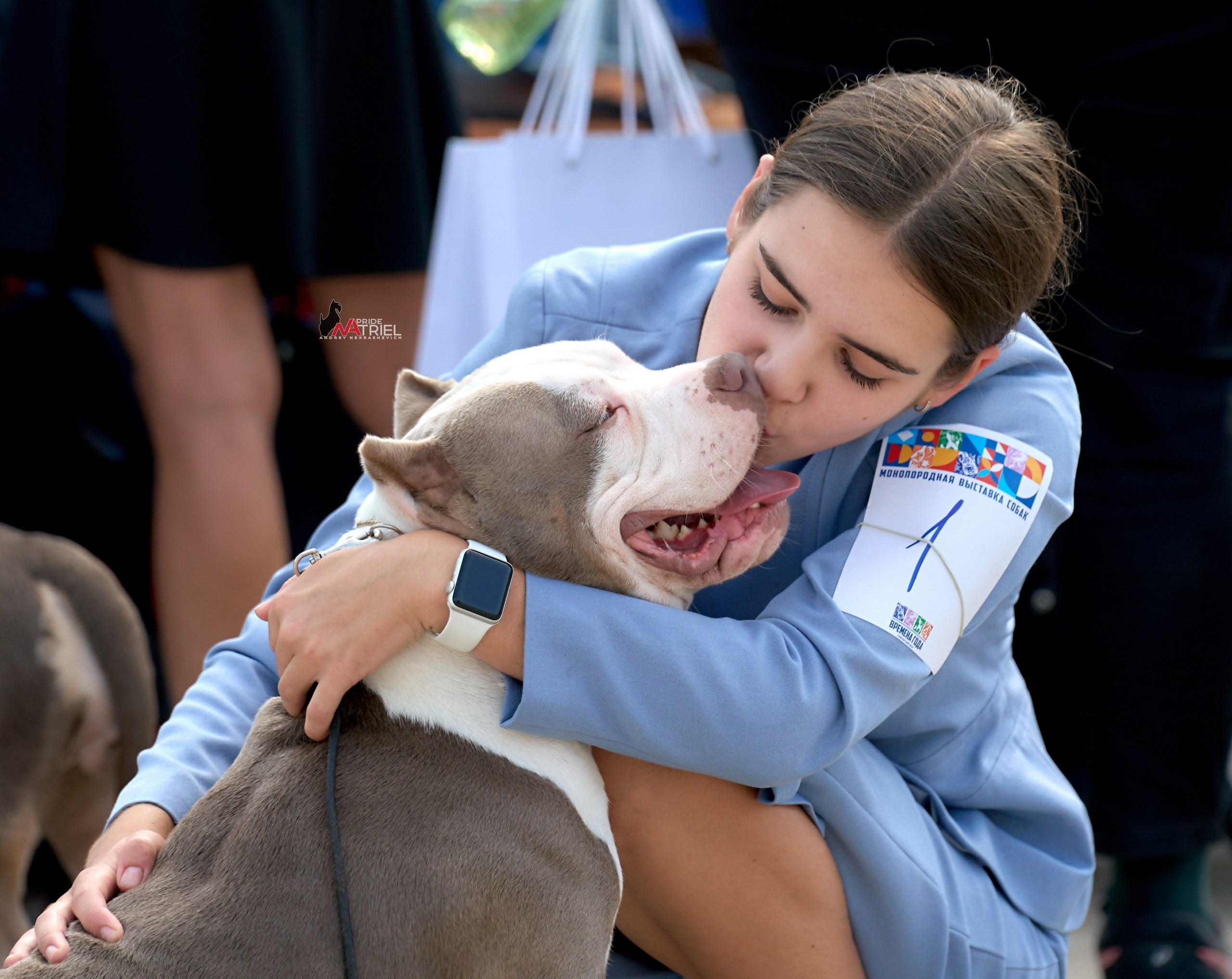 Собаки и Люди — галерея NATRIEL