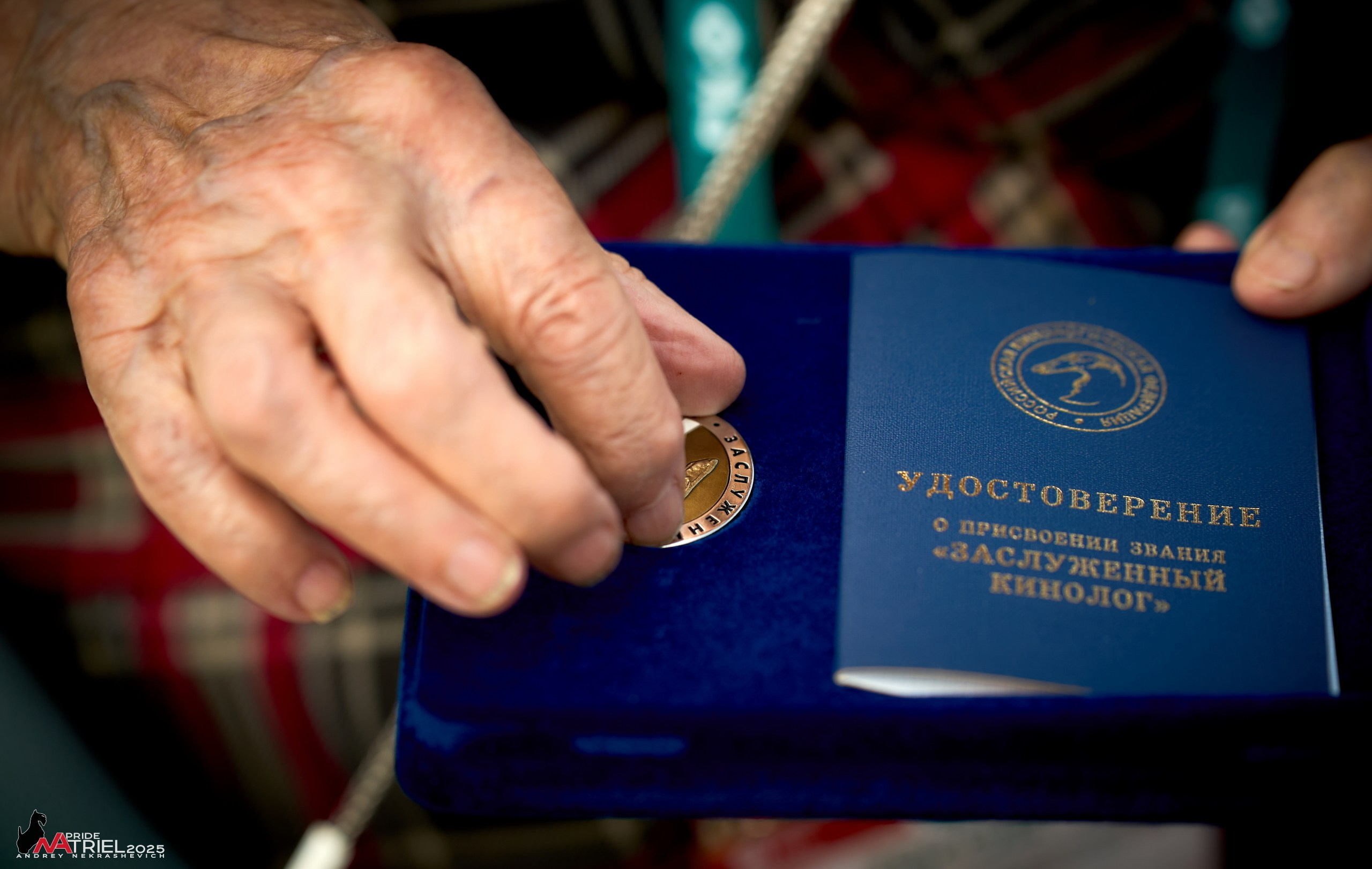 Выставка собак РОССИЯ — 2025