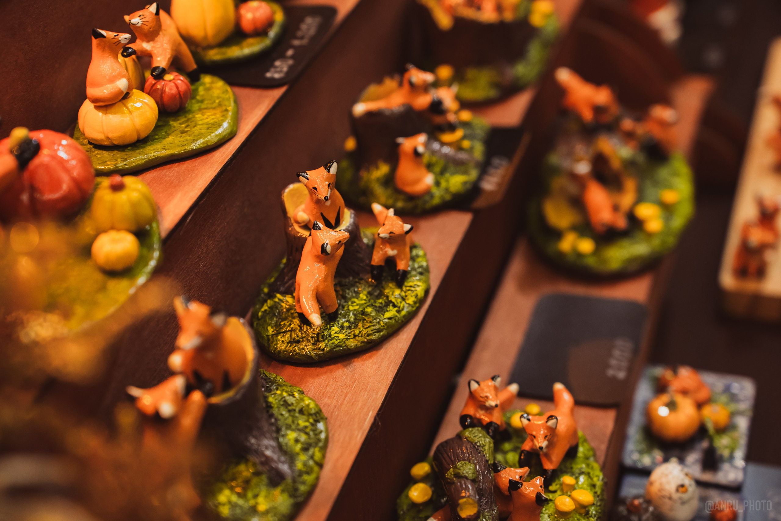 Fox Family fest. Репортажный фотограф Анастасия Рубцова