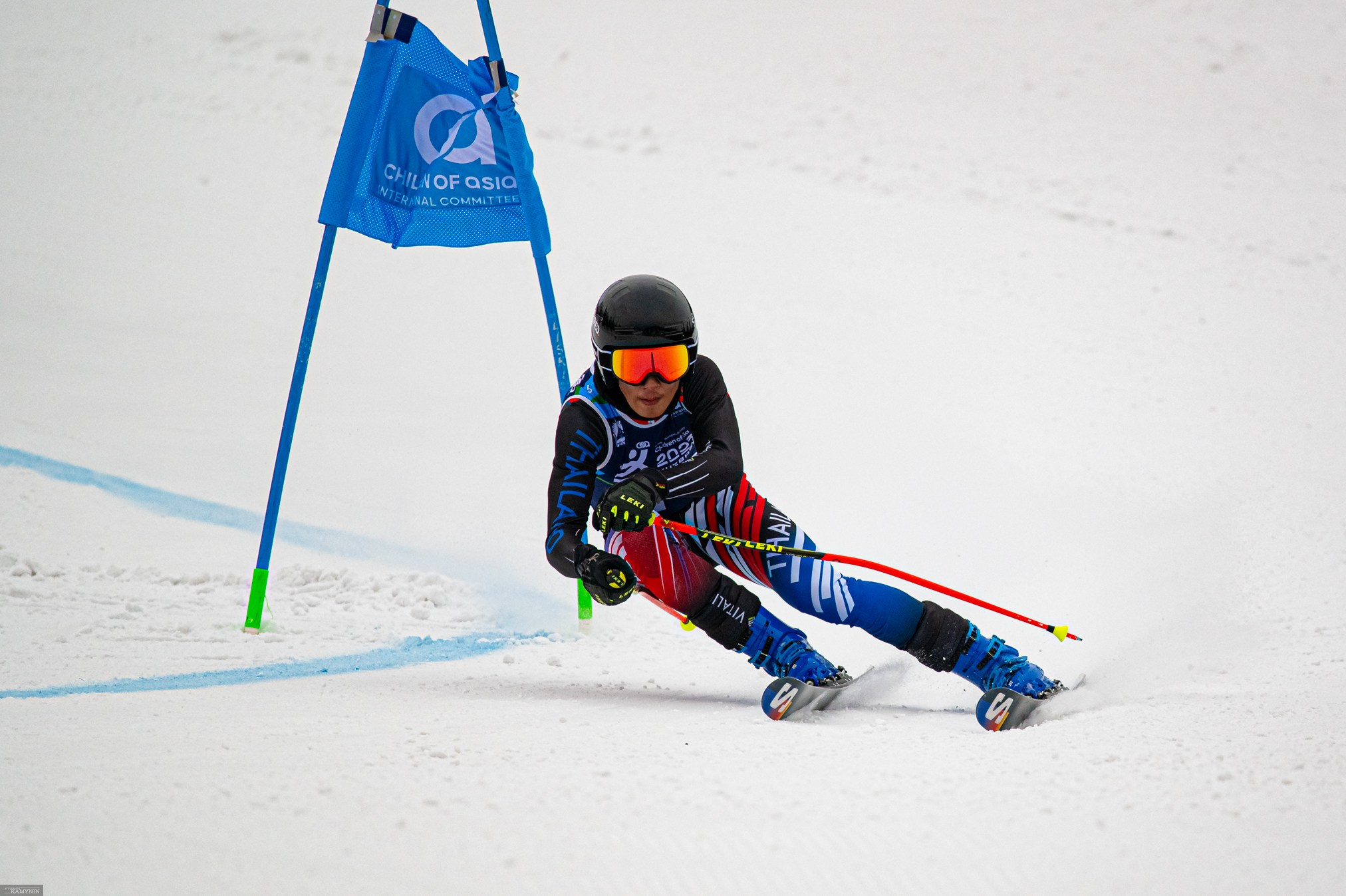 Слалом. ProfotoNK