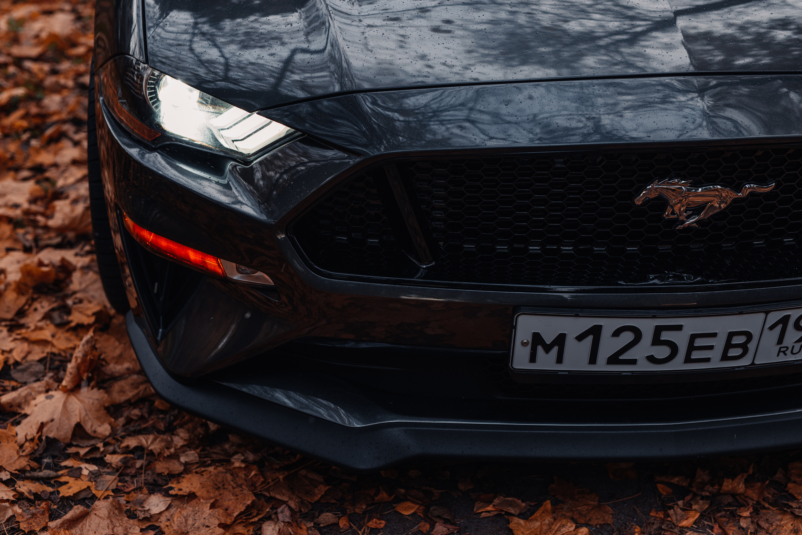 Ford Mustang. Фотограф в Санкт-Петербурге и Ленинградской области