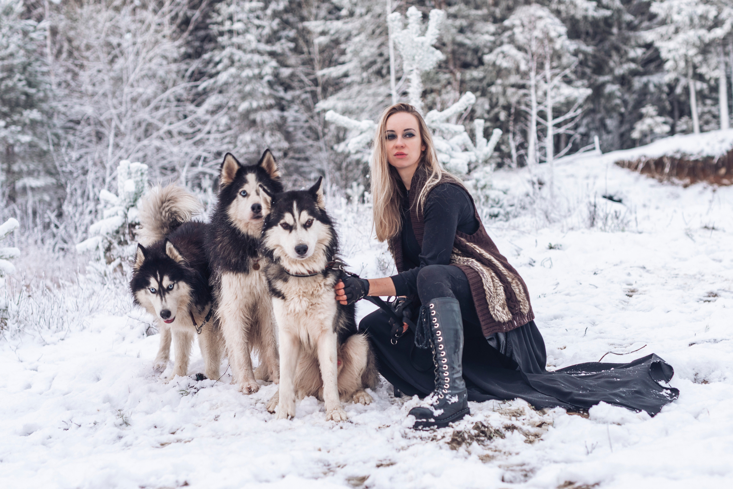 Сказка с хаски. Фотограф в Санкт-Петербурге и Ленинградской области