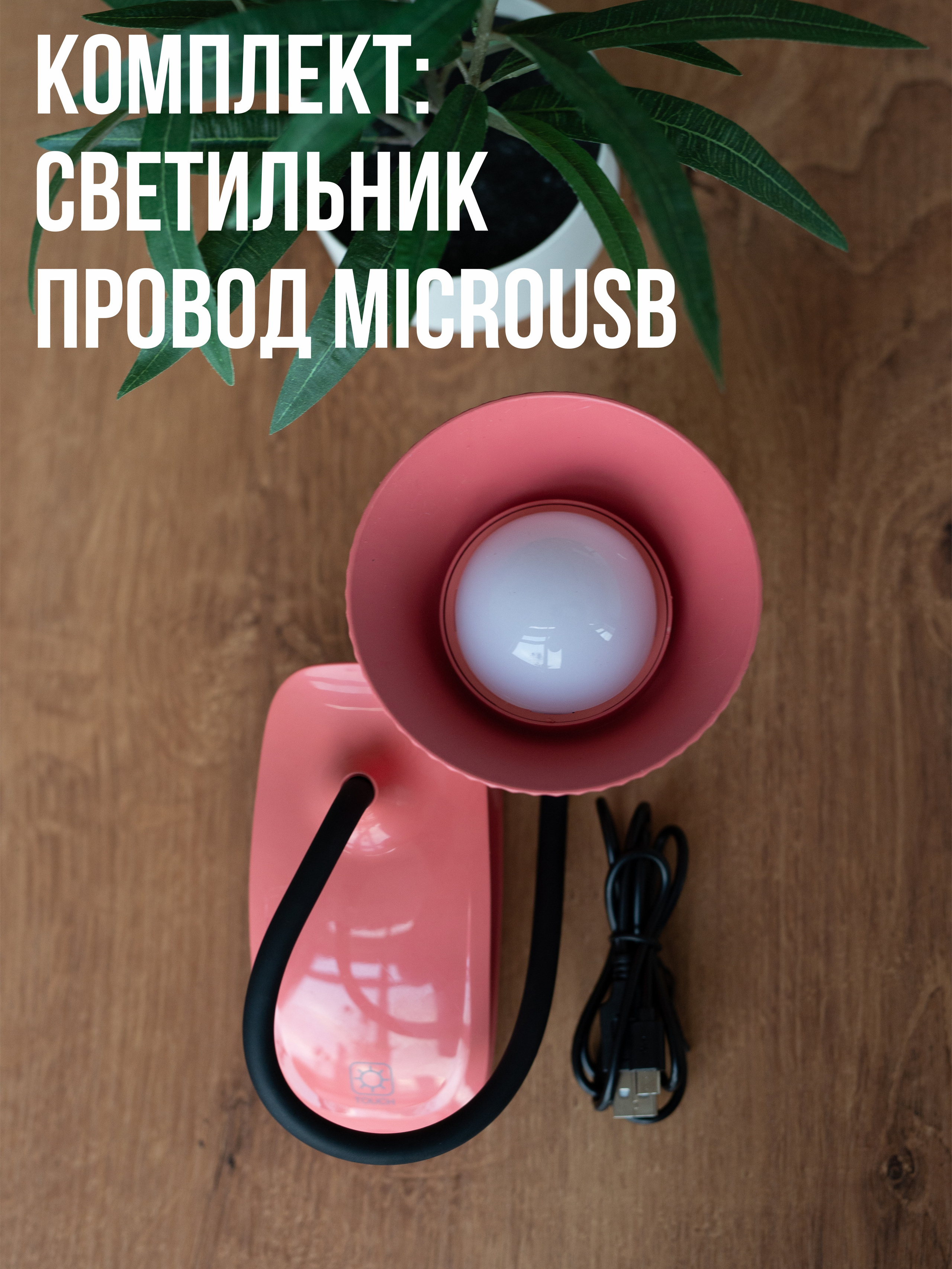 Лампы. Фотограф в Санкт-Петербурге и Ленинградской области