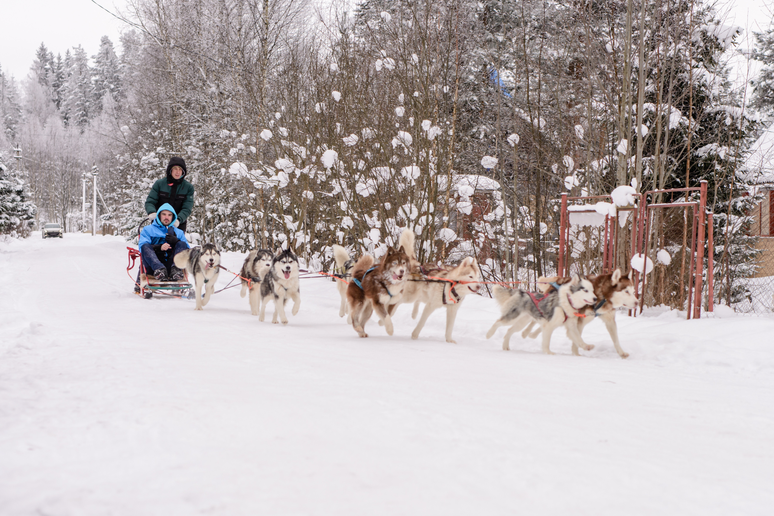 Огнен и Александра. Фотограф в Санкт-Петербурге и Ленинградской области