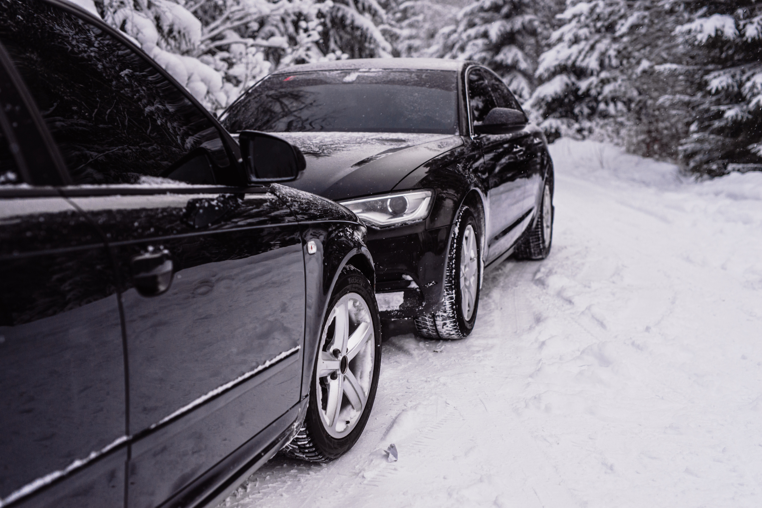 AUDI в лесу. Фотограф в Санкт-Петербурге и Ленинградской области