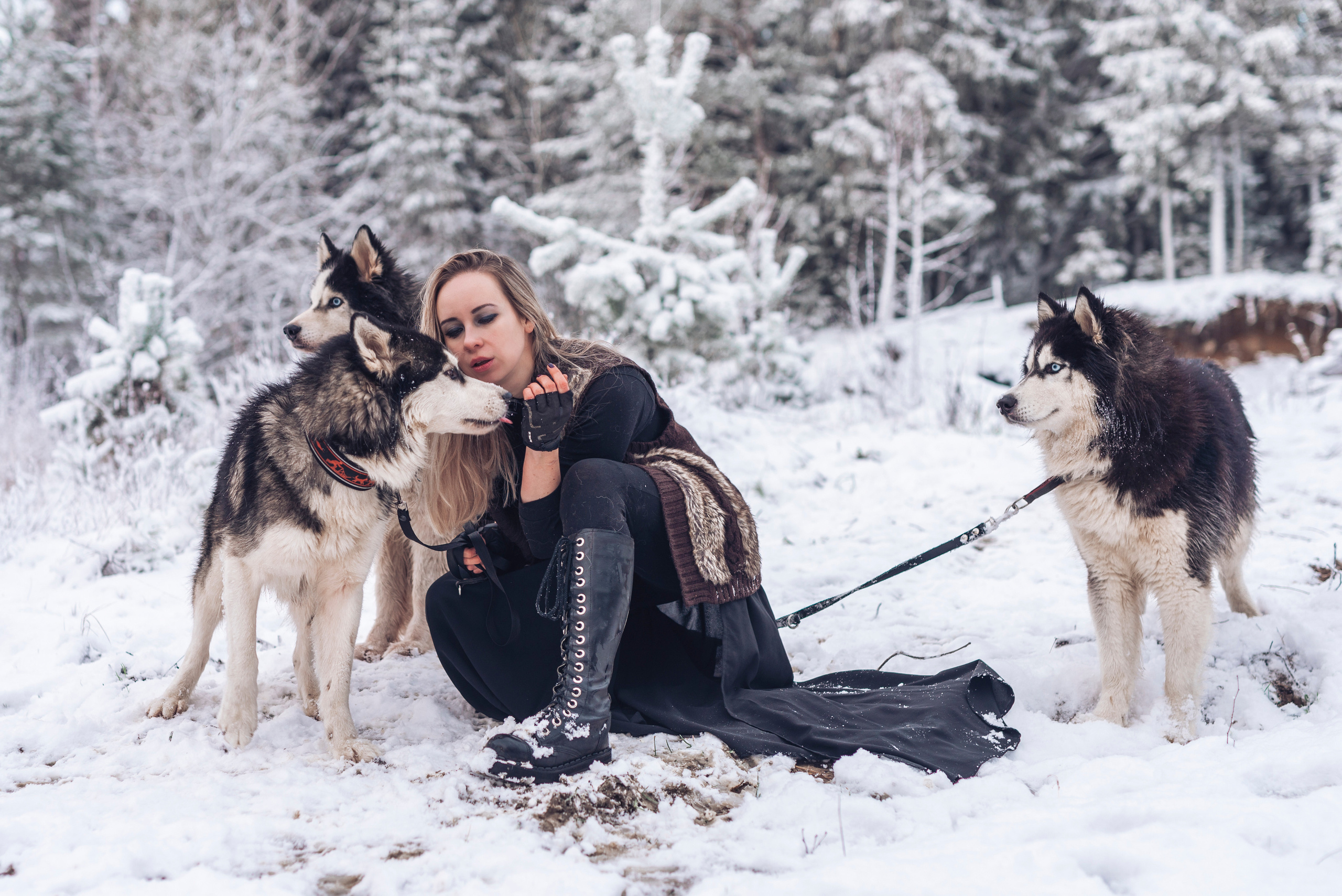 Сказка с хаски. Фотограф в Санкт-Петербурге и Ленинградской области