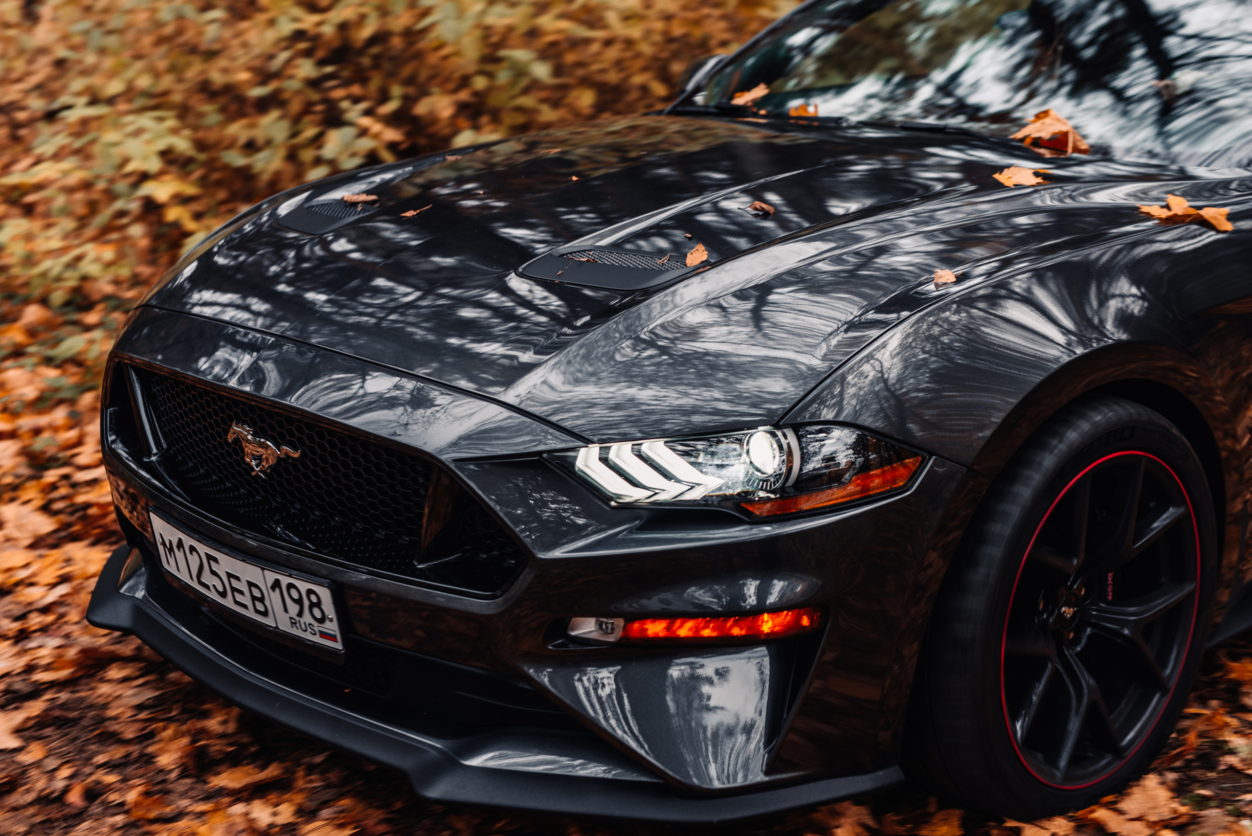 Ford Mustang. Фотограф в Санкт-Петербурге и Ленинградской области