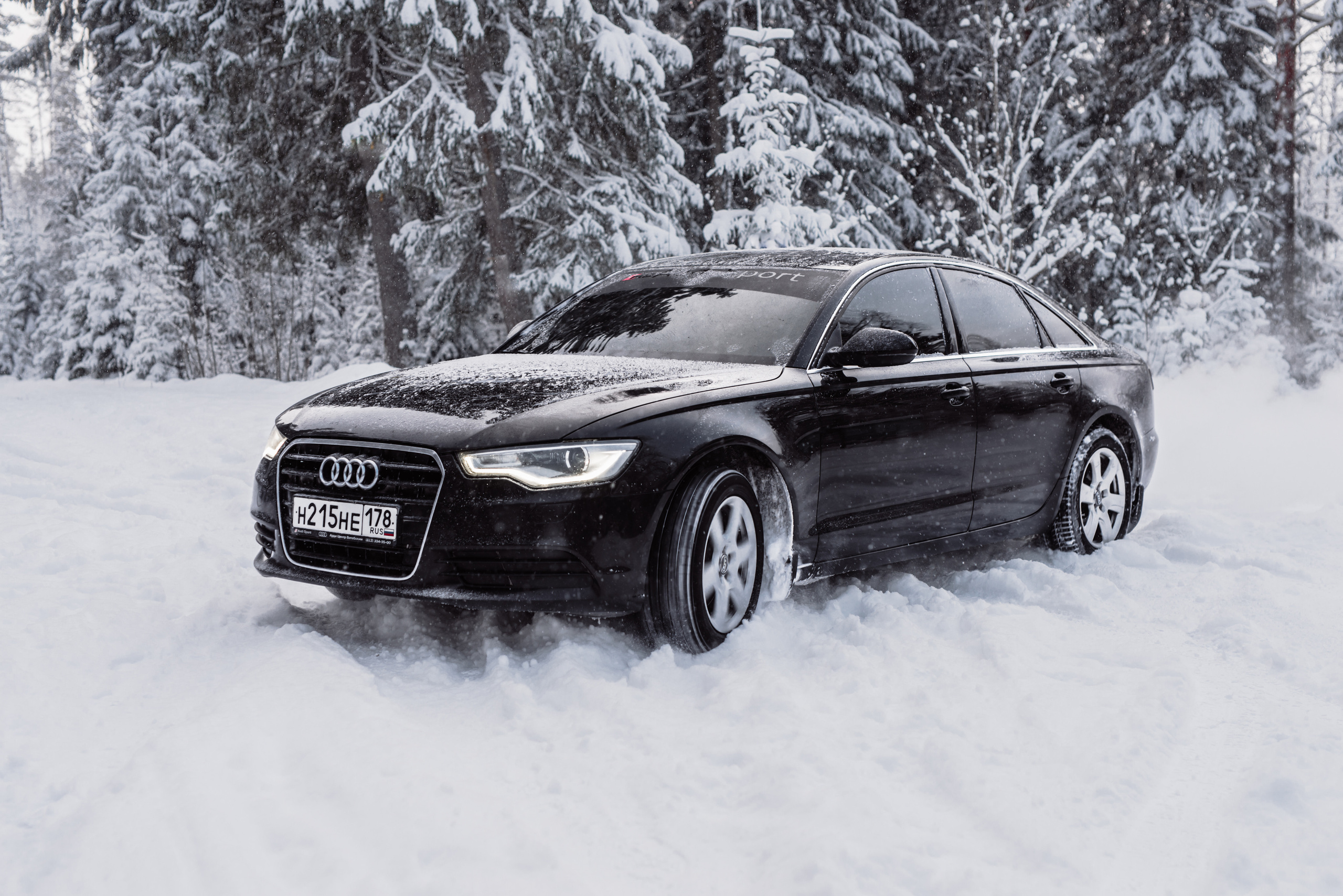 AUDI в лесу. Фотограф в Санкт-Петербурге и Ленинградской области