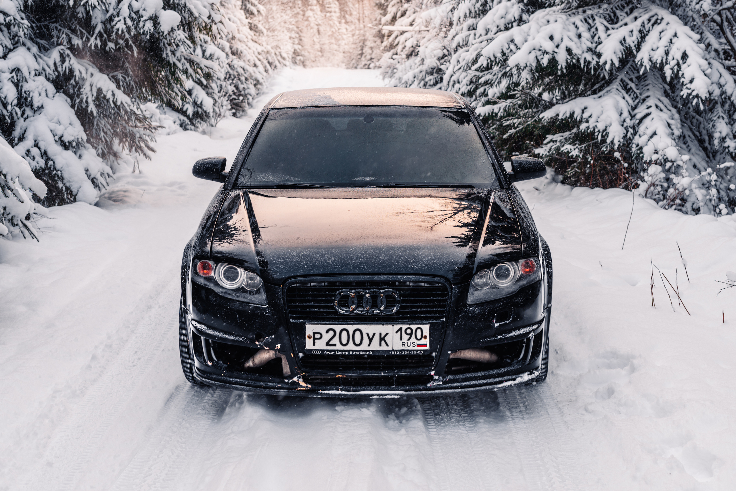 AUDI в лесу. Фотограф в Санкт-Петербурге и Ленинградской области