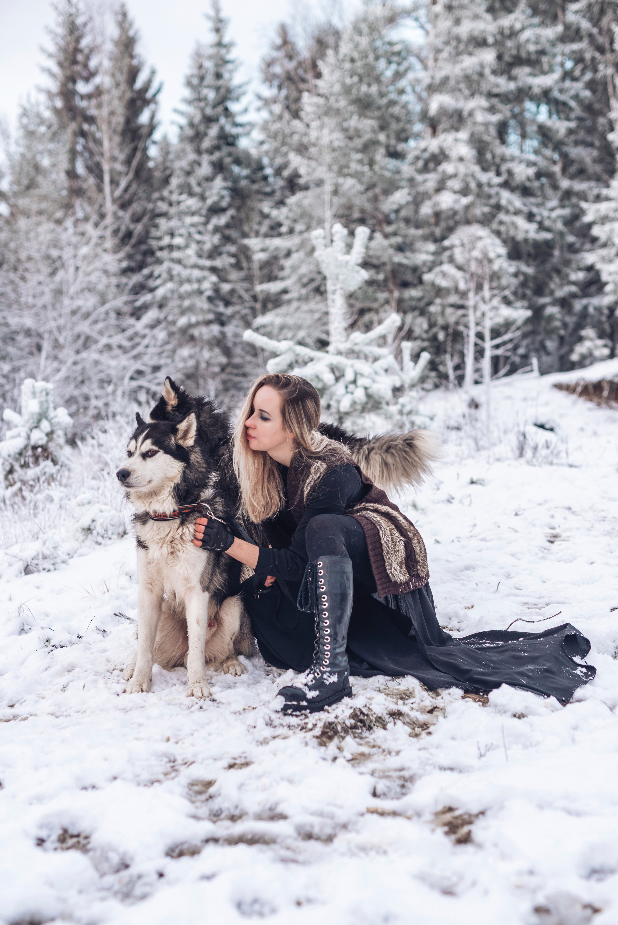 Сказка с хаски. Фотограф в Санкт-Петербурге и Ленинградской области