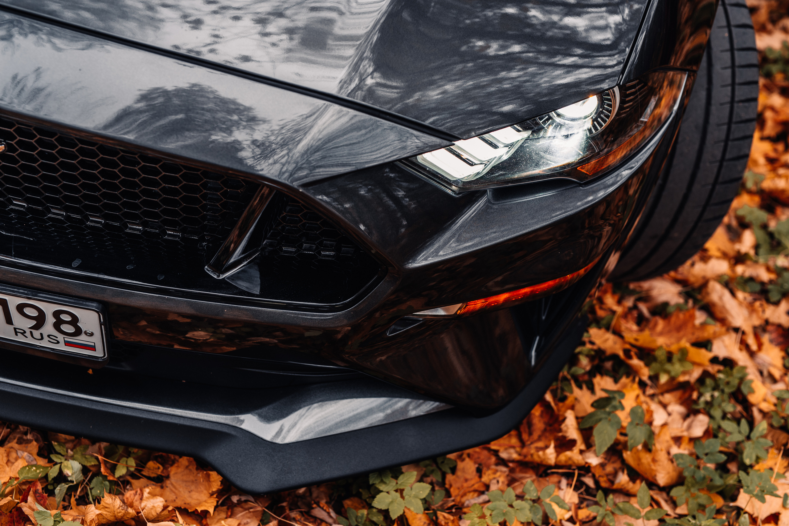 Ford Mustang. Фотограф в Санкт-Петербурге и Ленинградской области