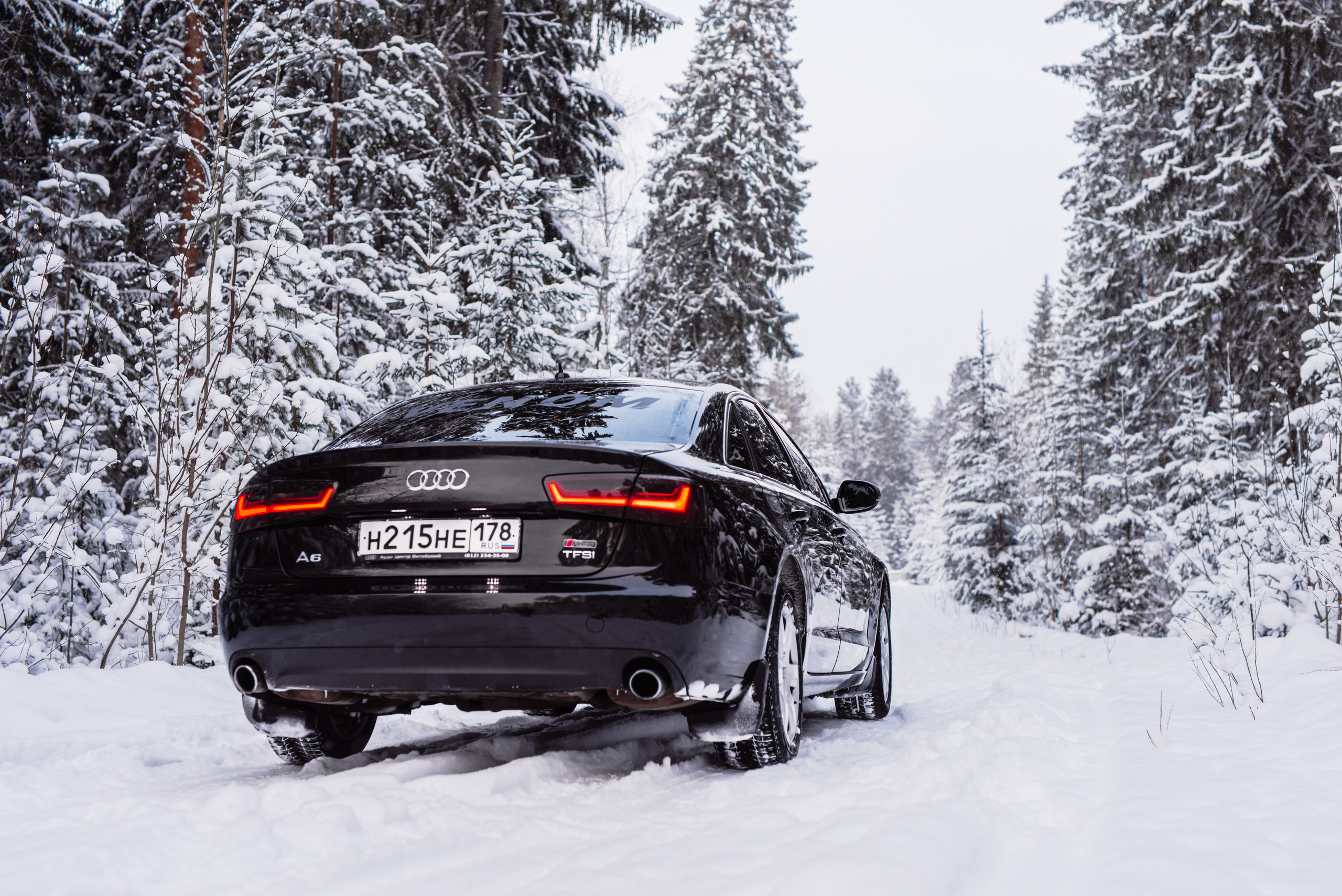 AUDI в лесу. Фотограф в Санкт-Петербурге и Ленинградской области