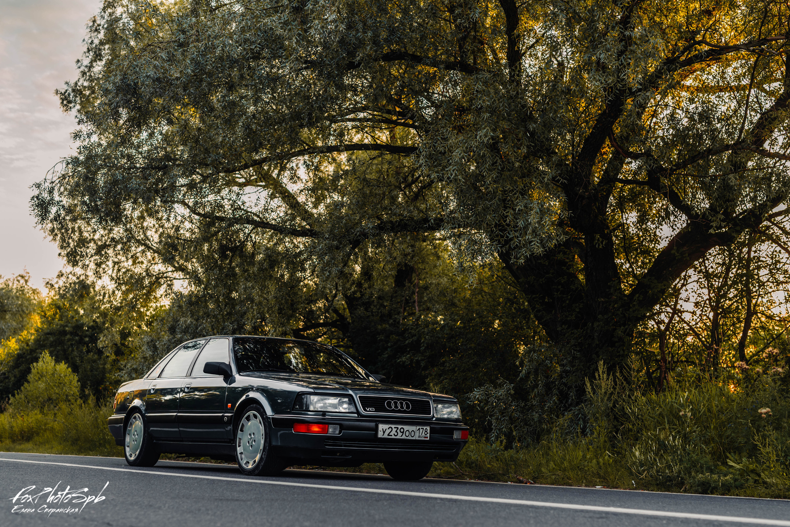 Audi V8. Фотограф в Санкт-Петербурге и Ленинградской области