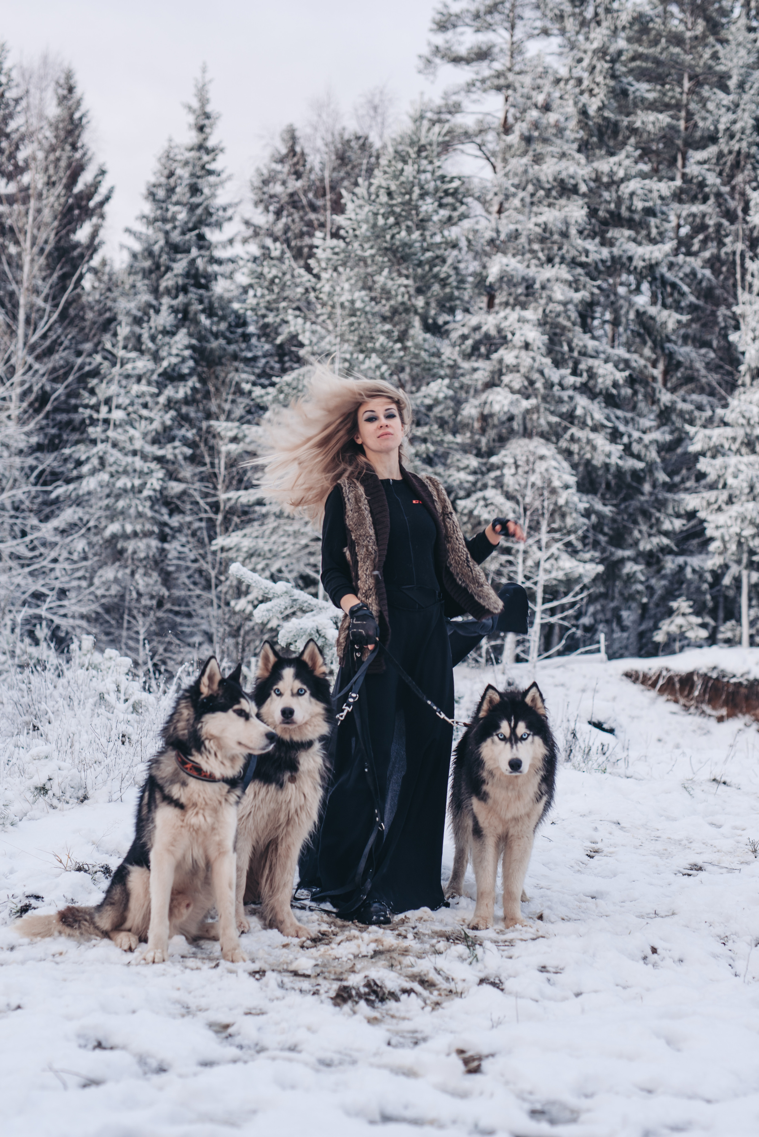 Сказка с хаски. Фотограф в Санкт-Петербурге и Ленинградской области