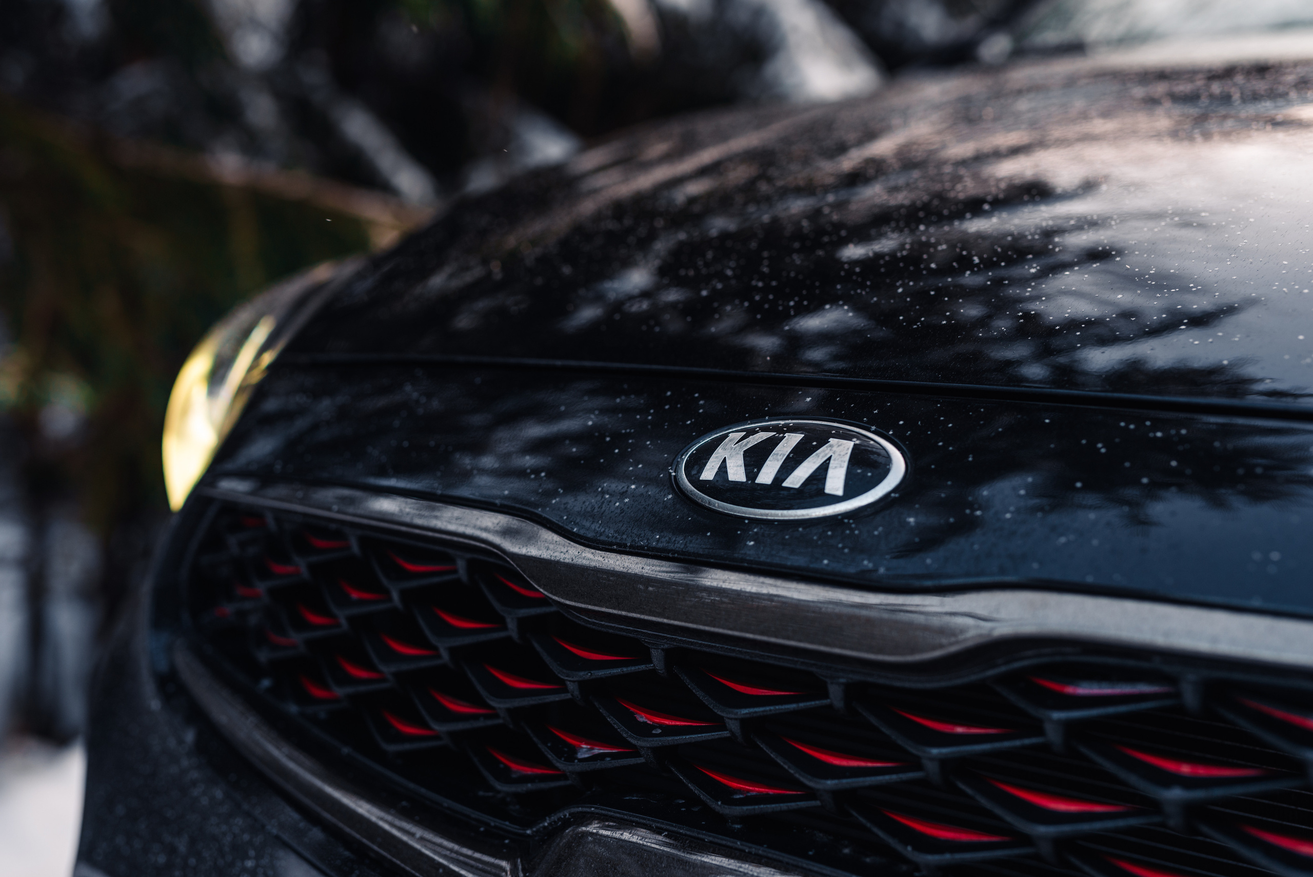 Kia cerato. Фотограф в Санкт-Петербурге и Ленинградской области