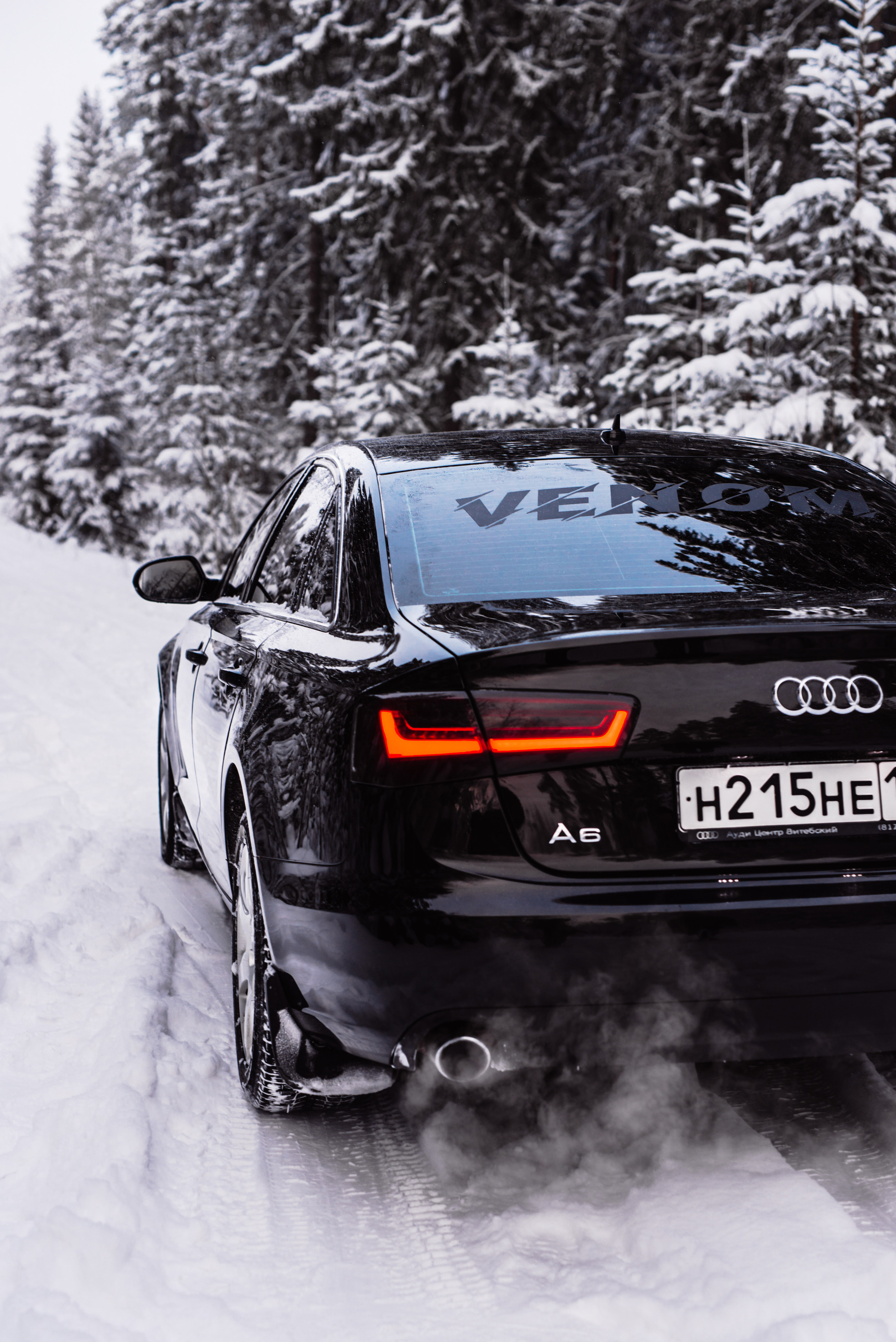 AUDI в лесу. Фотограф в Санкт-Петербурге и Ленинградской области