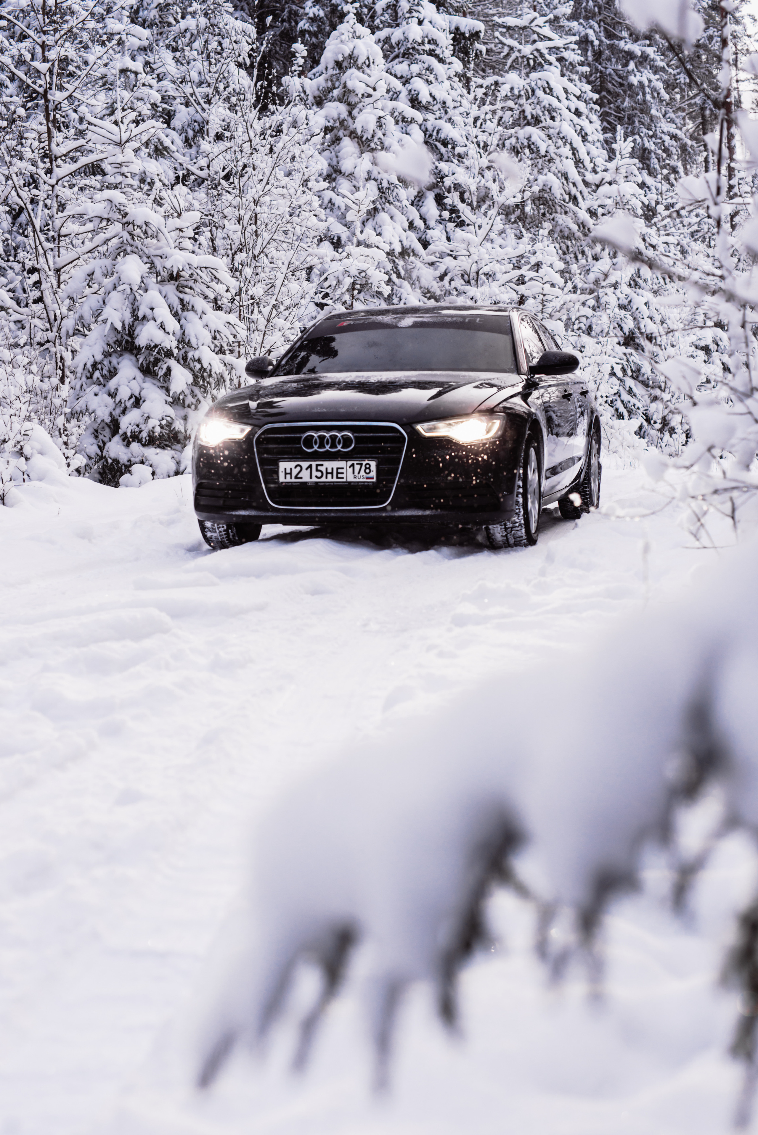 AUDI в лесу. Фотограф в Санкт-Петербурге и Ленинградской области