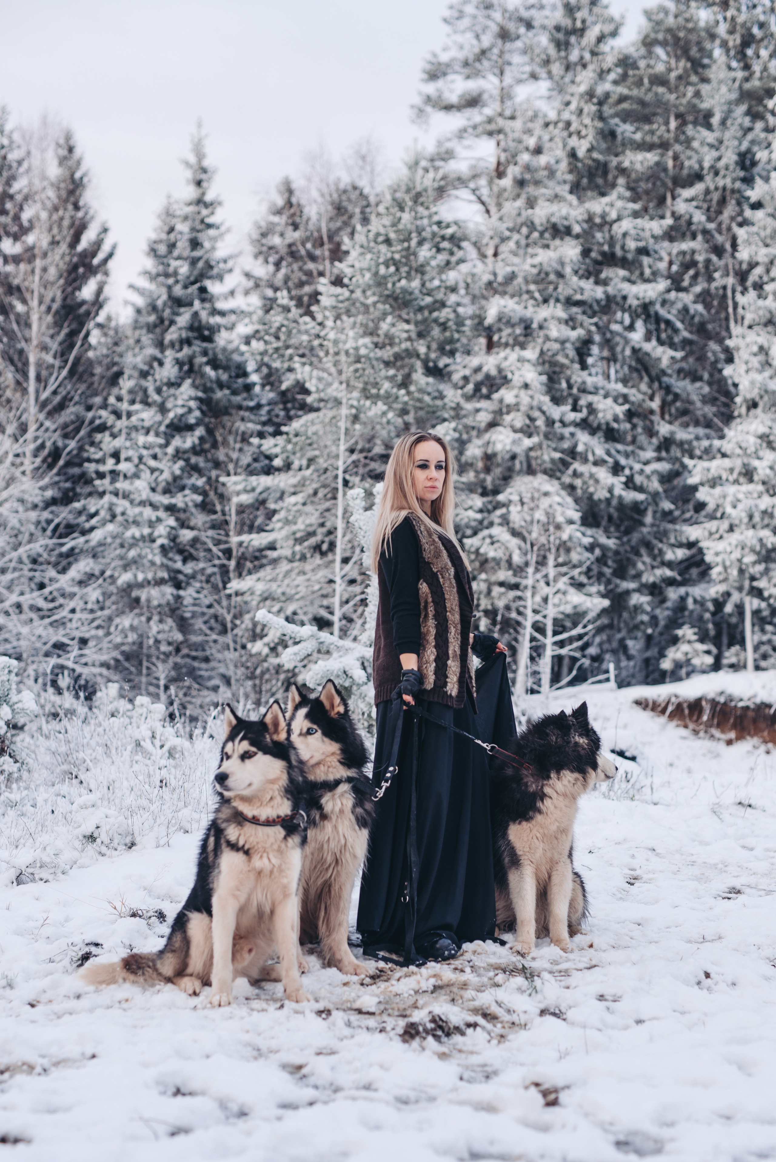 Сказка с хаски. Фотограф в Санкт-Петербурге и Ленинградской области